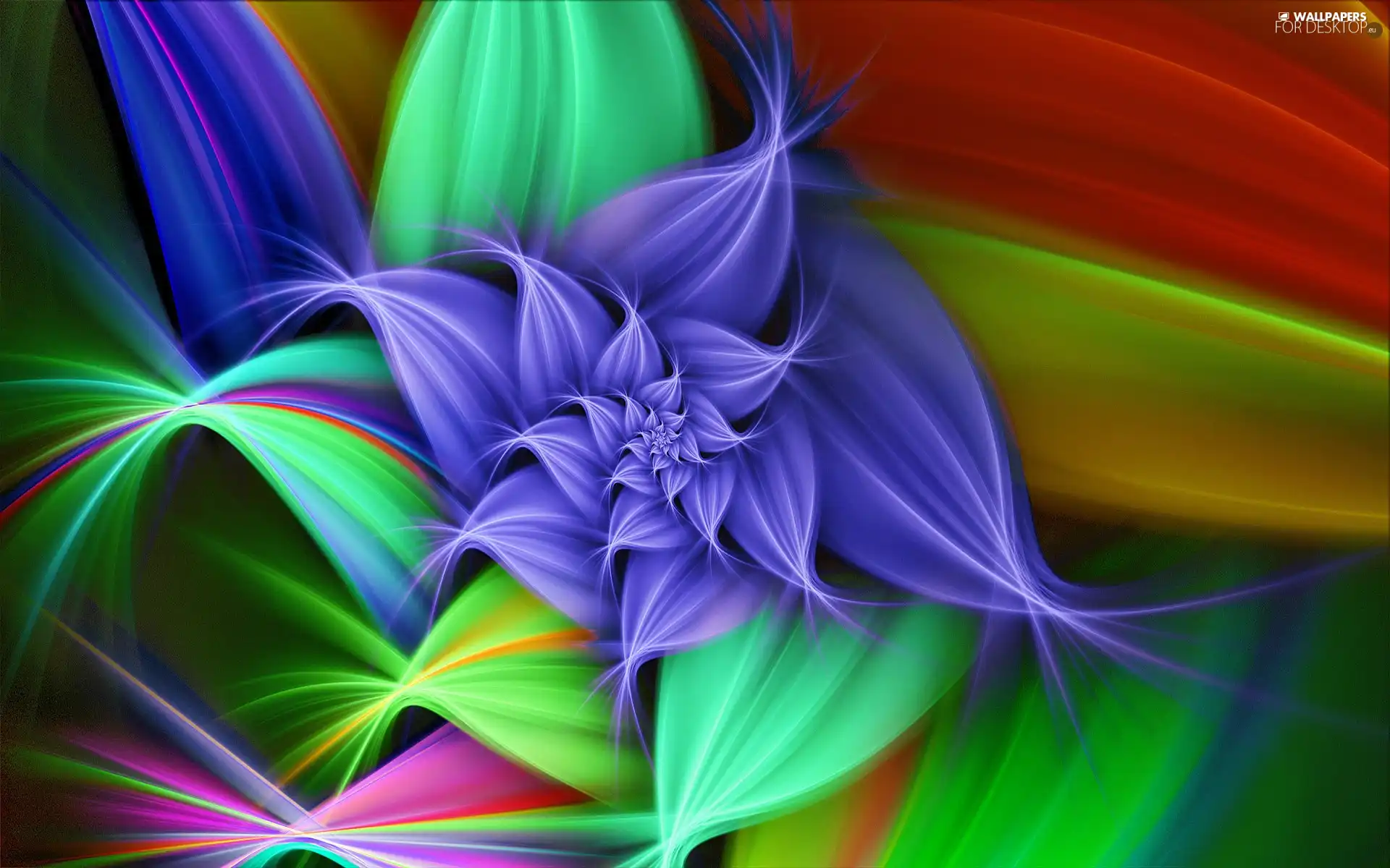 multicolored, graphics, Fraktal, Colourfull Flowers