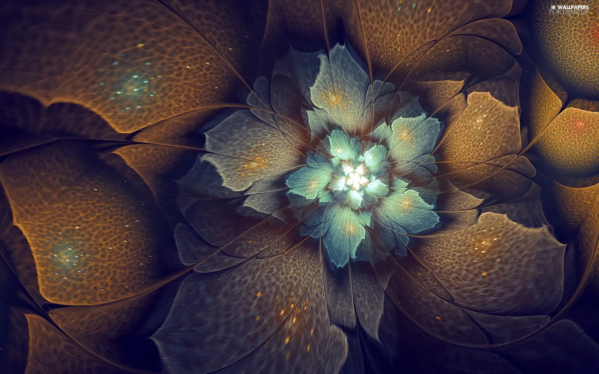 Colourfull Flowers, graphics, Fraktal