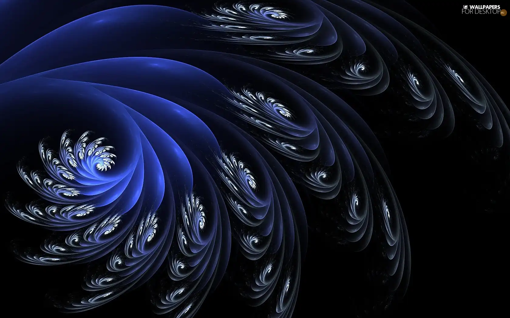 Fraktal, plume, Tides