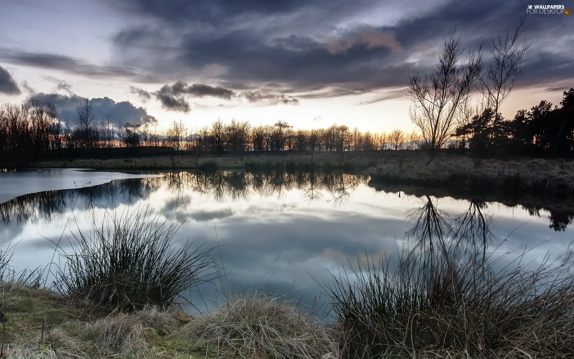 River, White frost