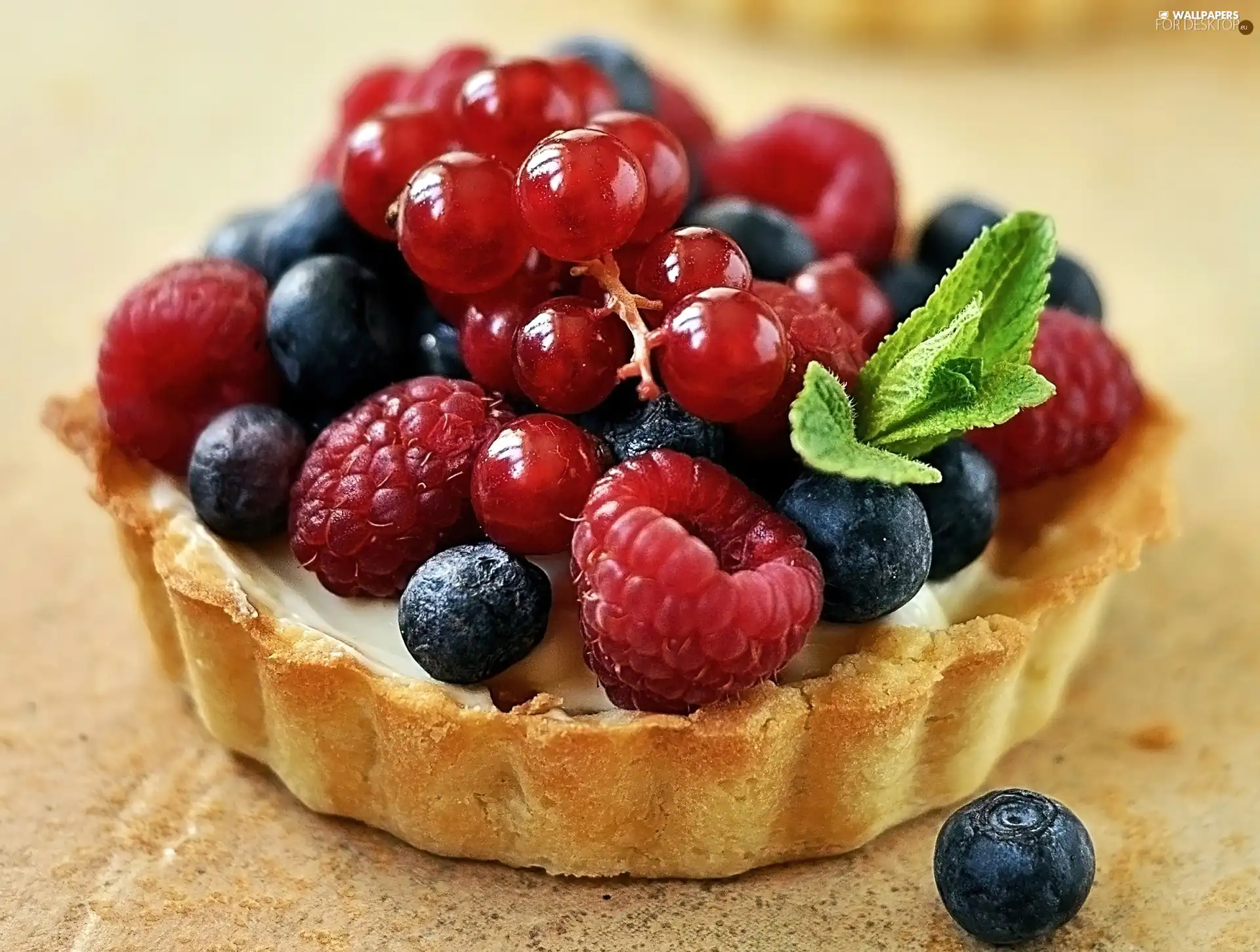 Tartinka, fruit
