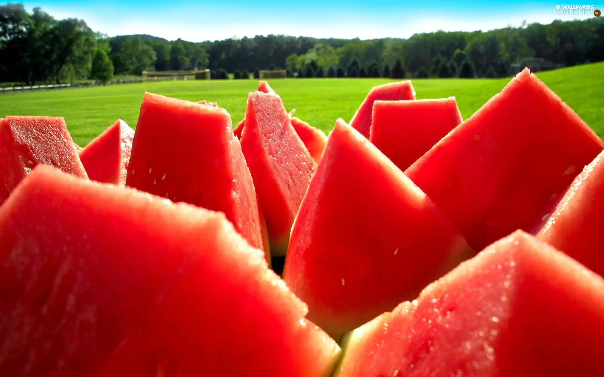 watermelon, fruit