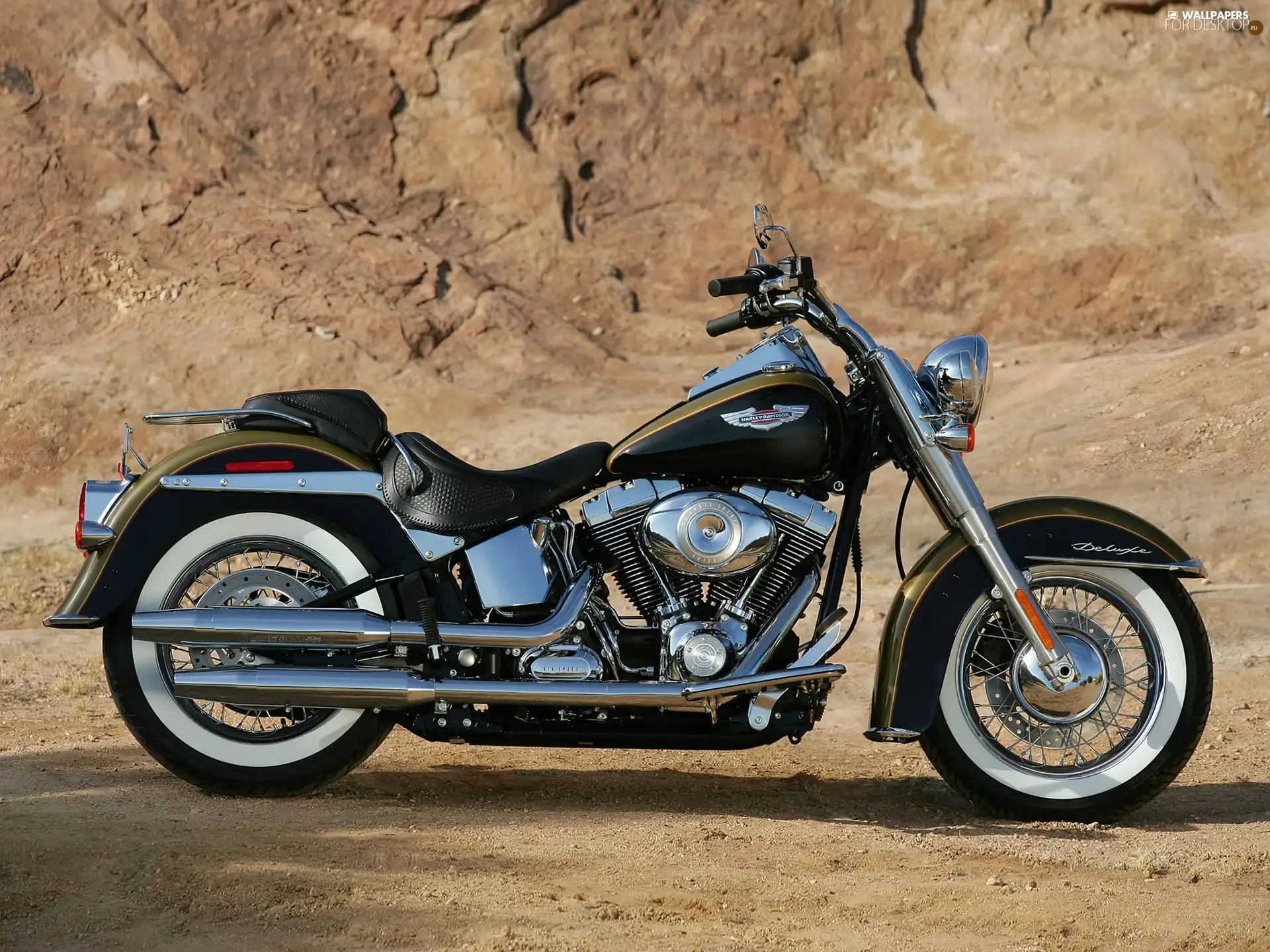fuels, Harley Davidson Softail Fat Boy, tank