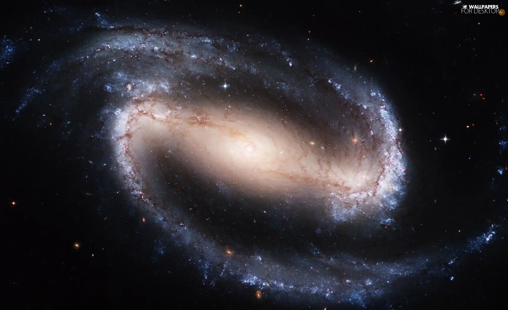 Galaxy