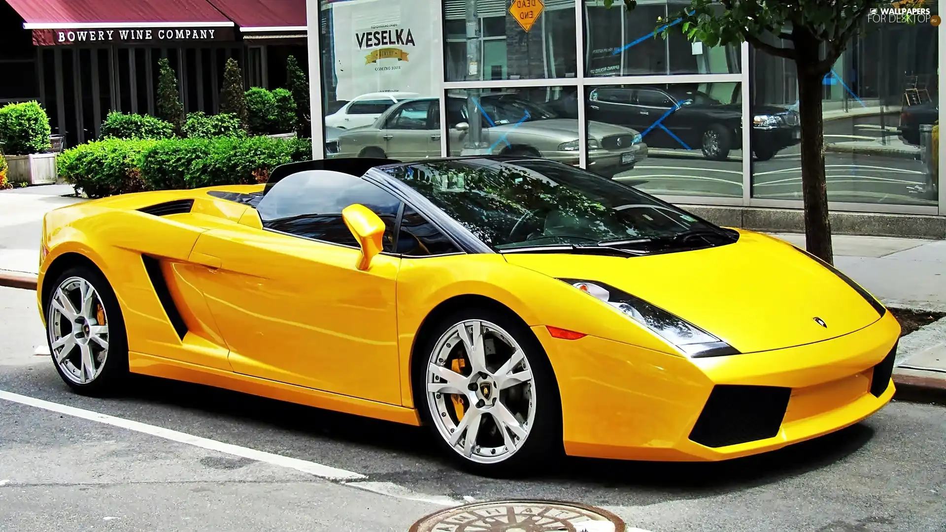 LP560-4 Spyder, Lamborghini, Gallardo
