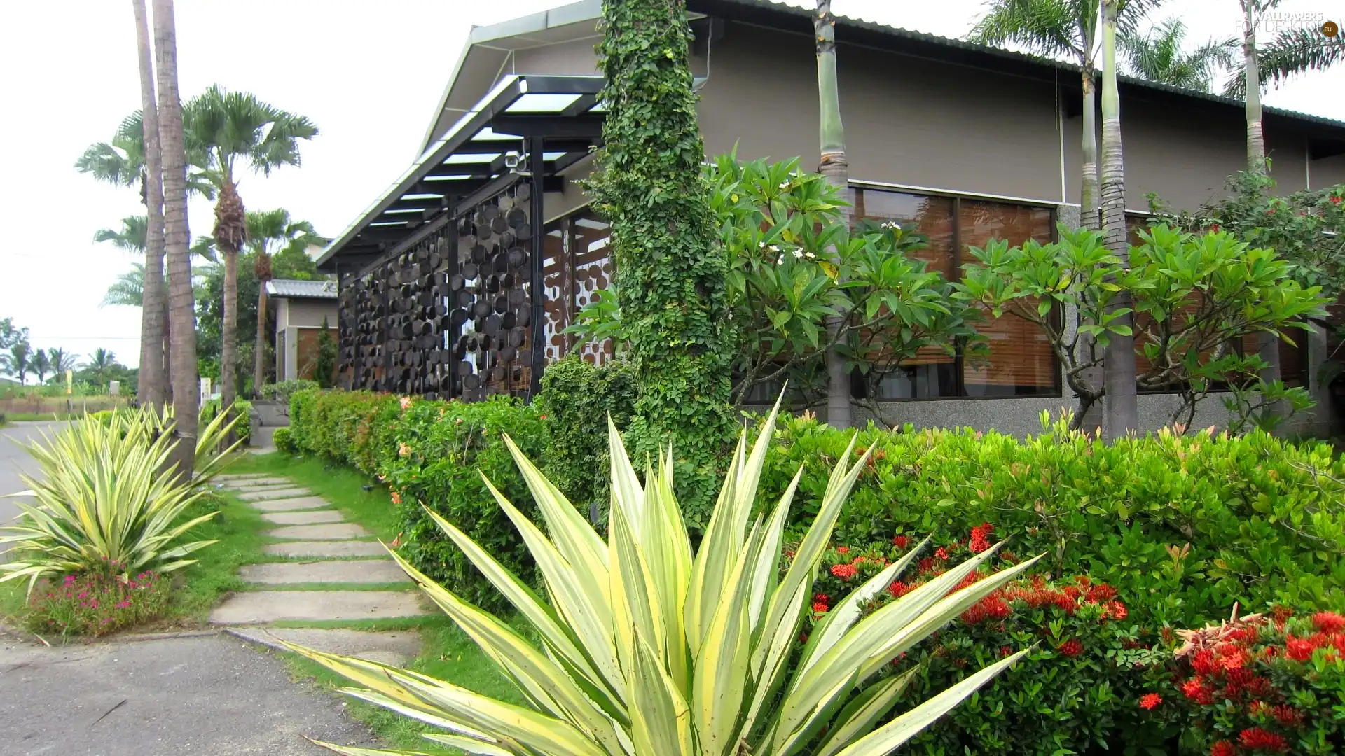house, Garden