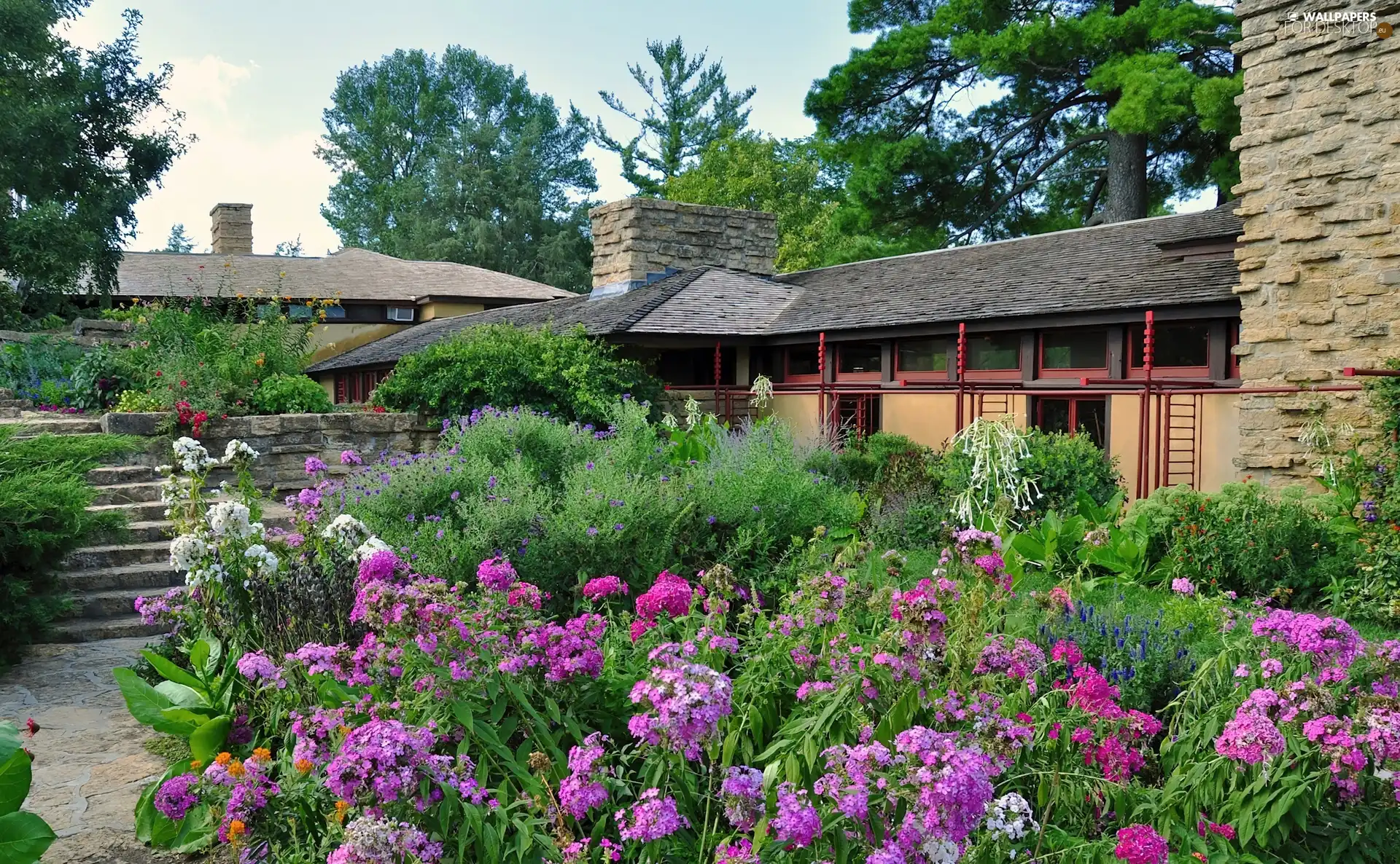 house, Garden