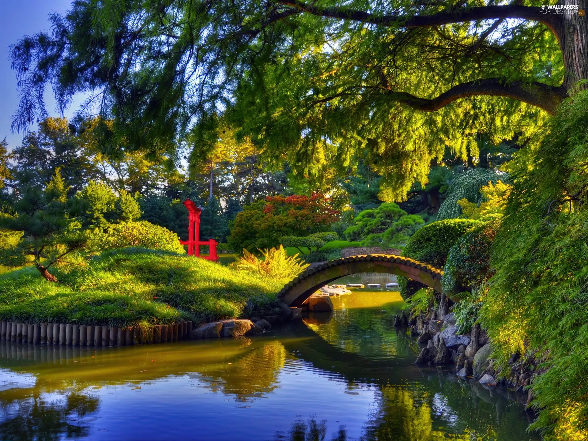 japanese, Garden