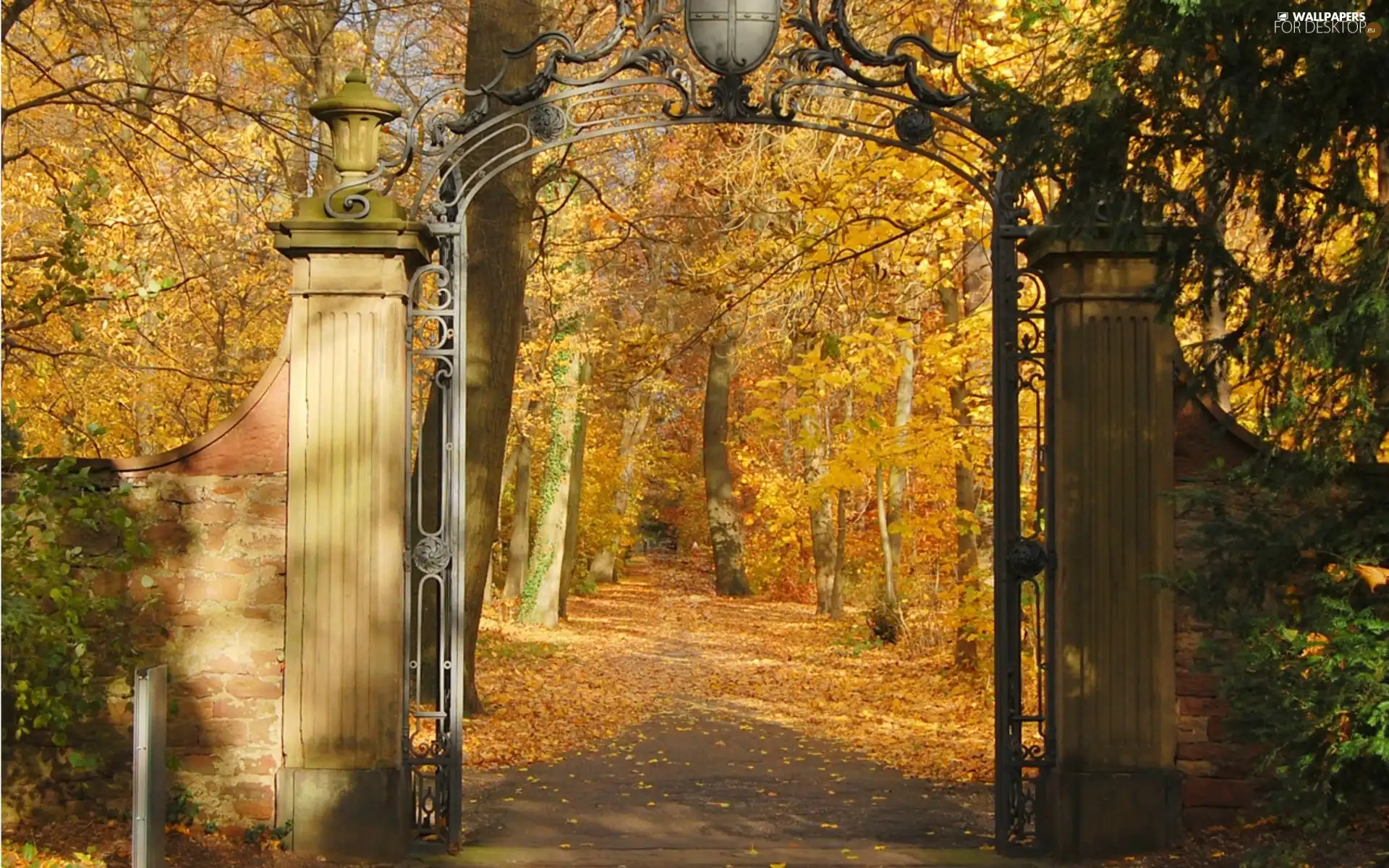 viewes, Park, Gate, autumn, Leaf, trees