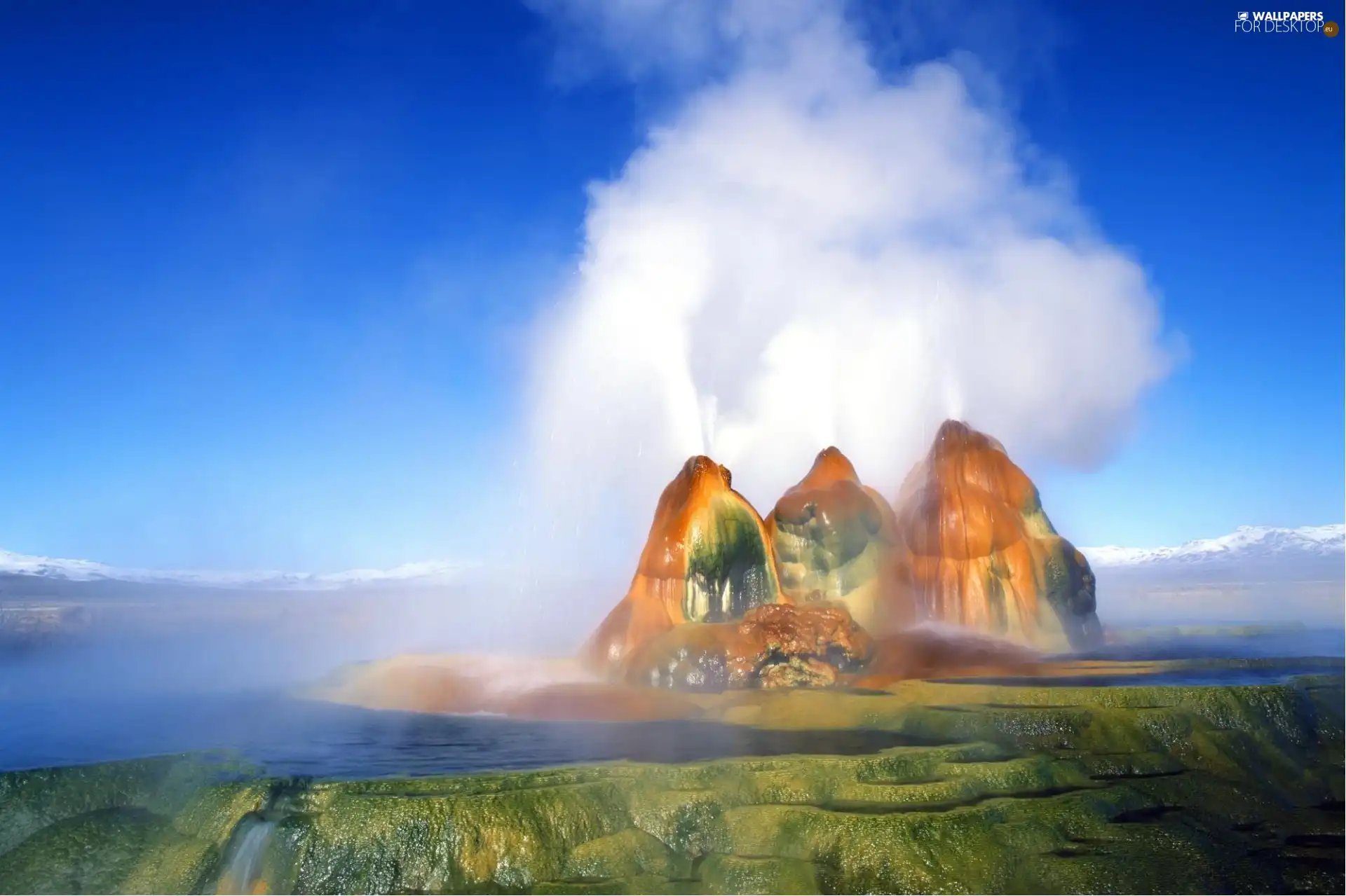 Geysers