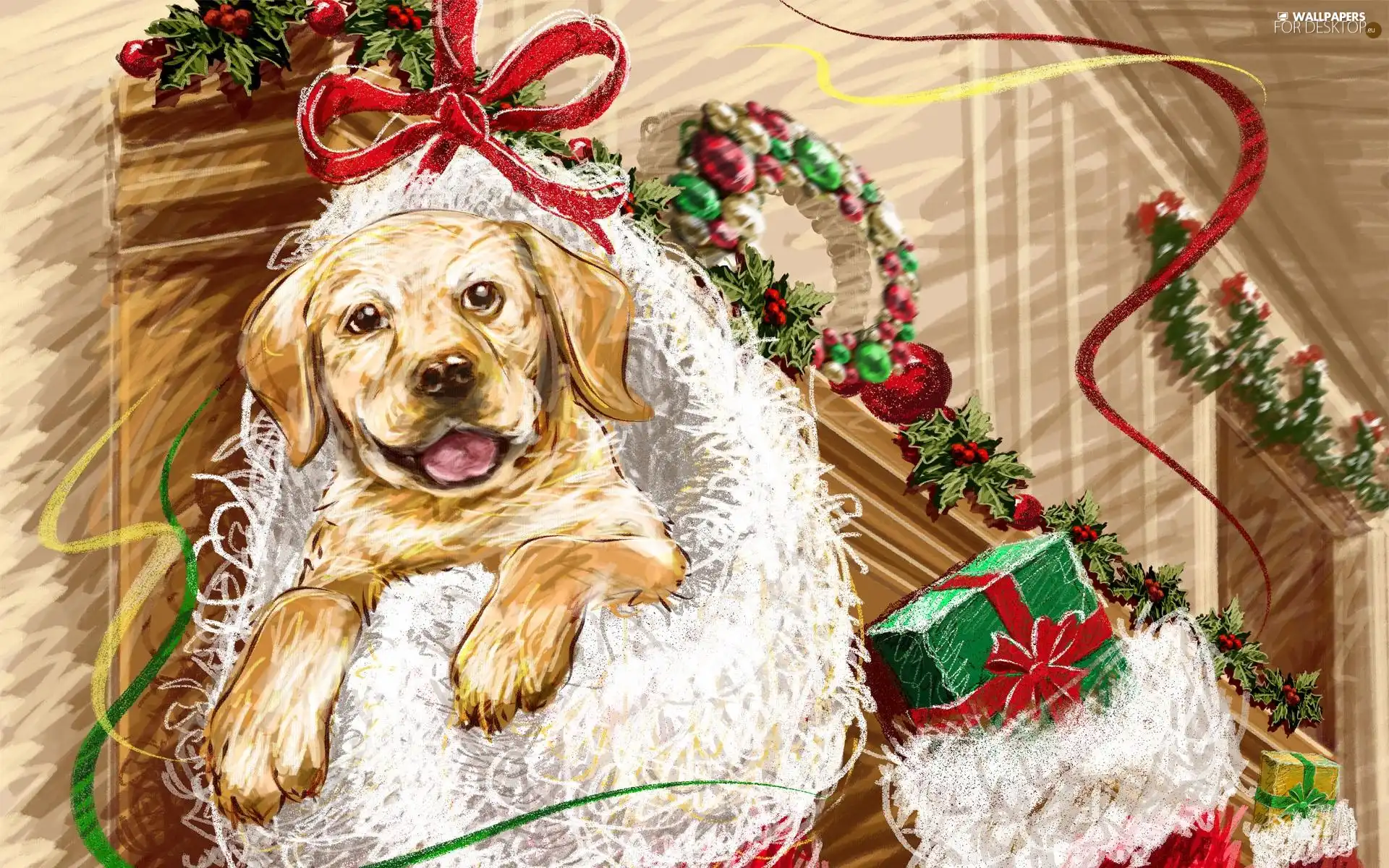 gifts, christmas, dog