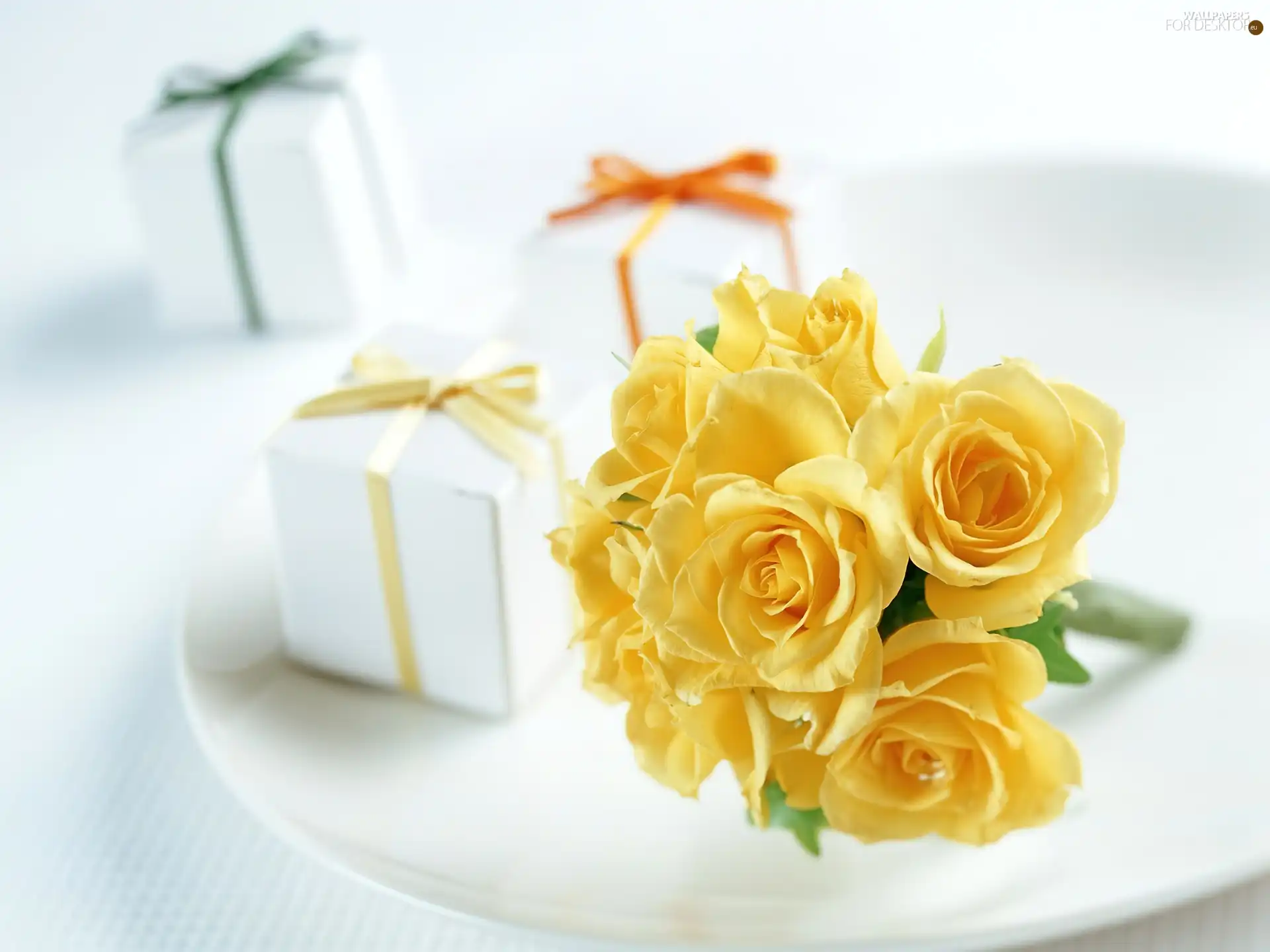gifts, Yellow, roses