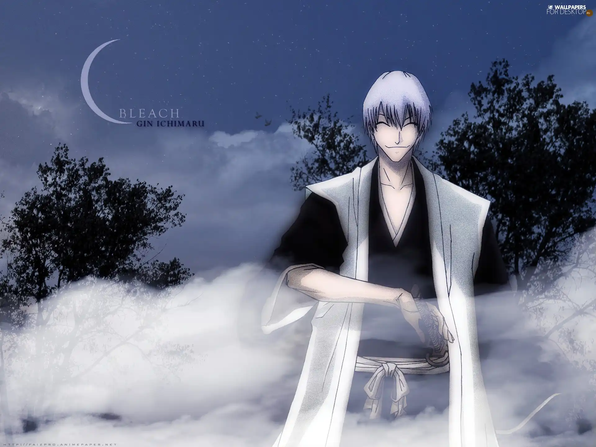 Night, bleach, Gin Ichimaru