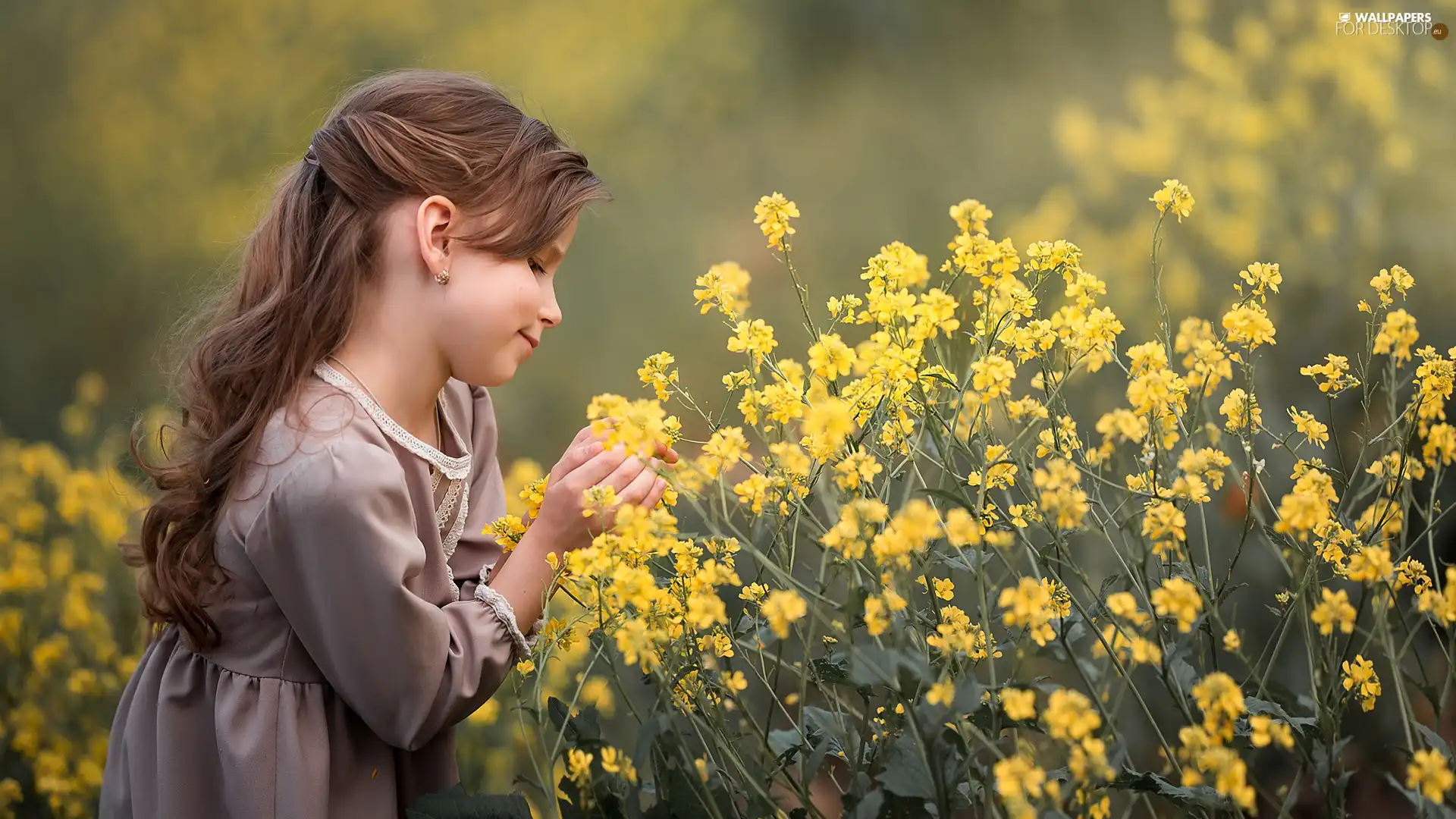 Kids, rape, Flowers, girl