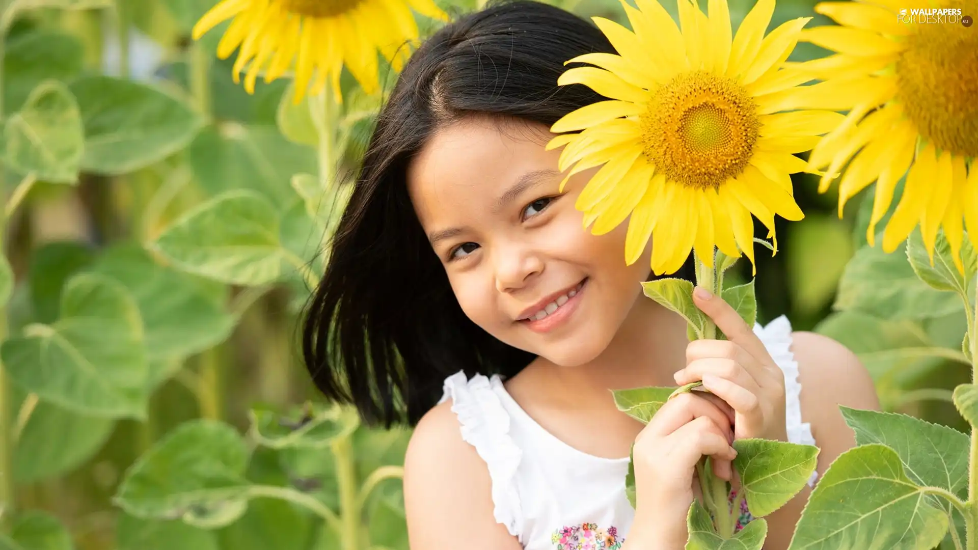 Kid, girl, Nice sunflowers, smiling