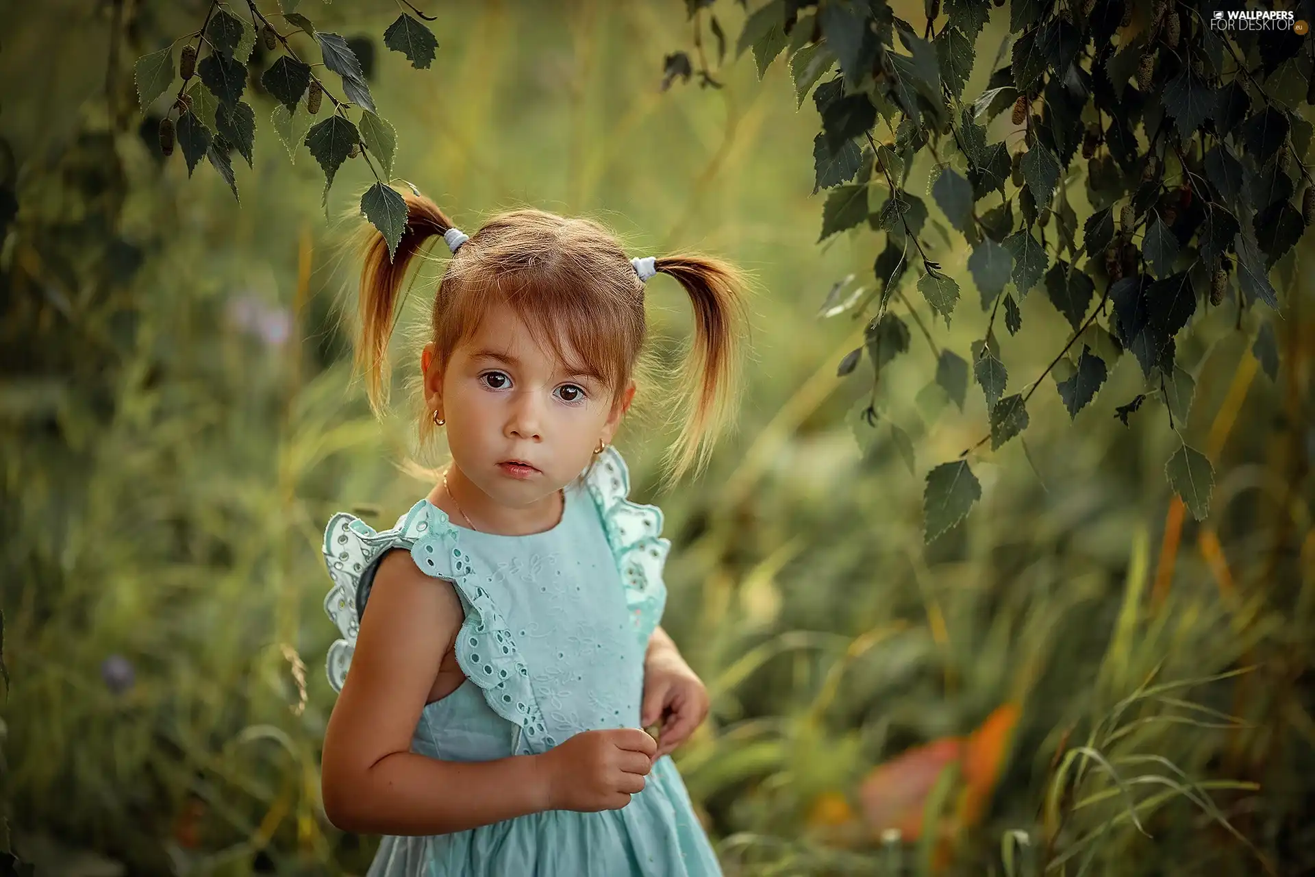 girl, ponies