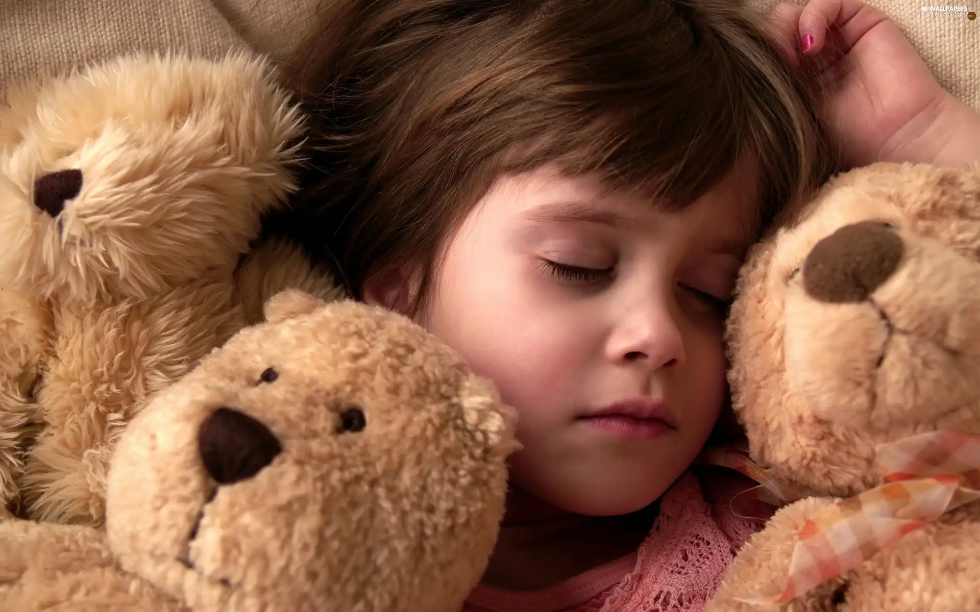bear, the sleeping, girl