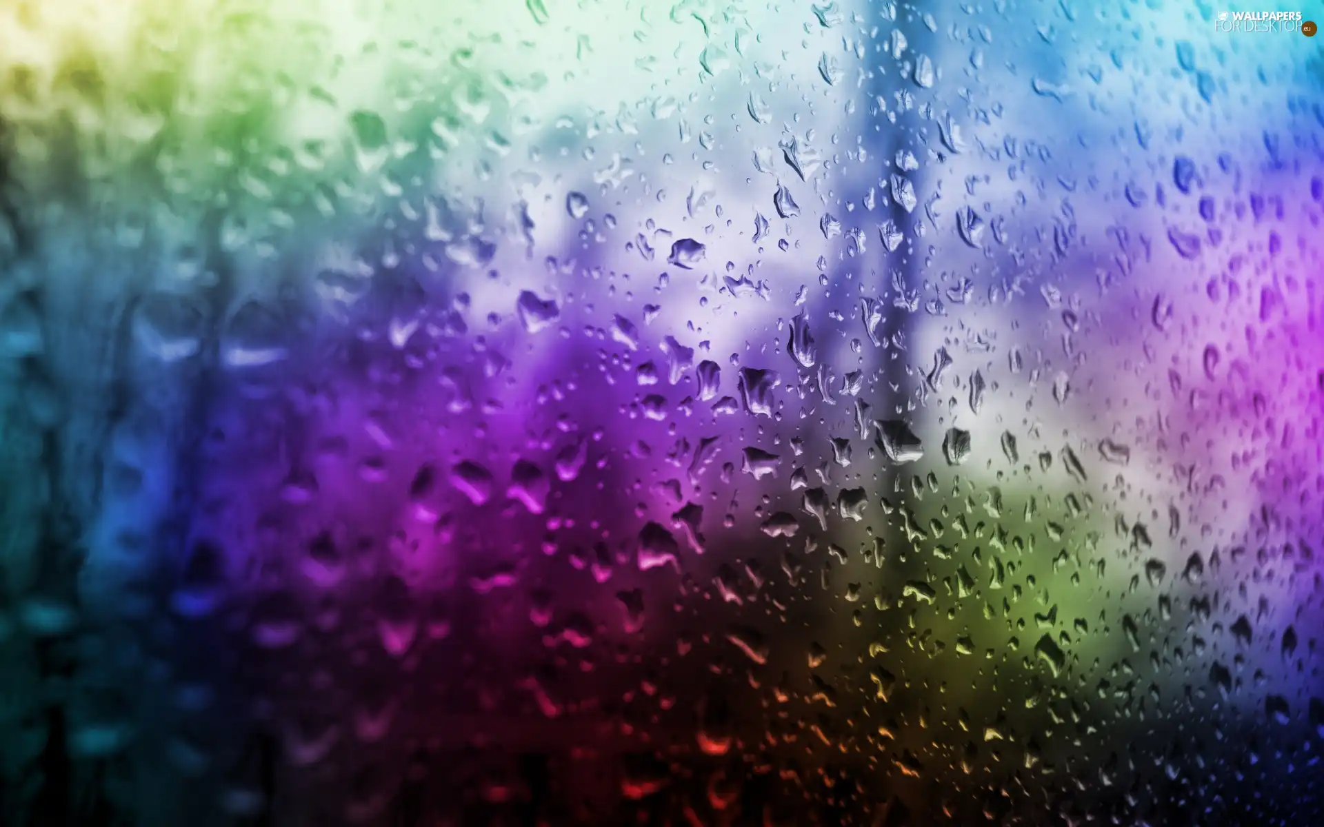 Rain, Glass