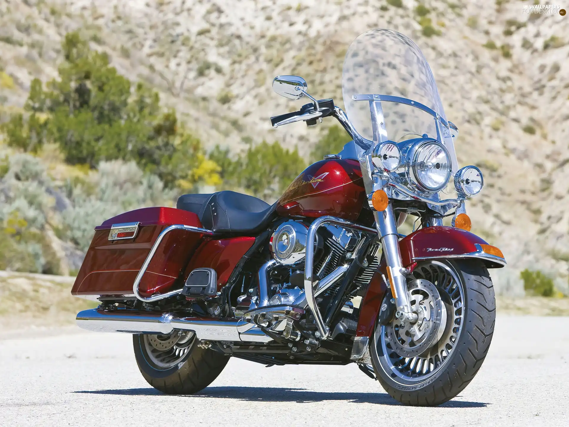 Harley Davidson Road King, Glass