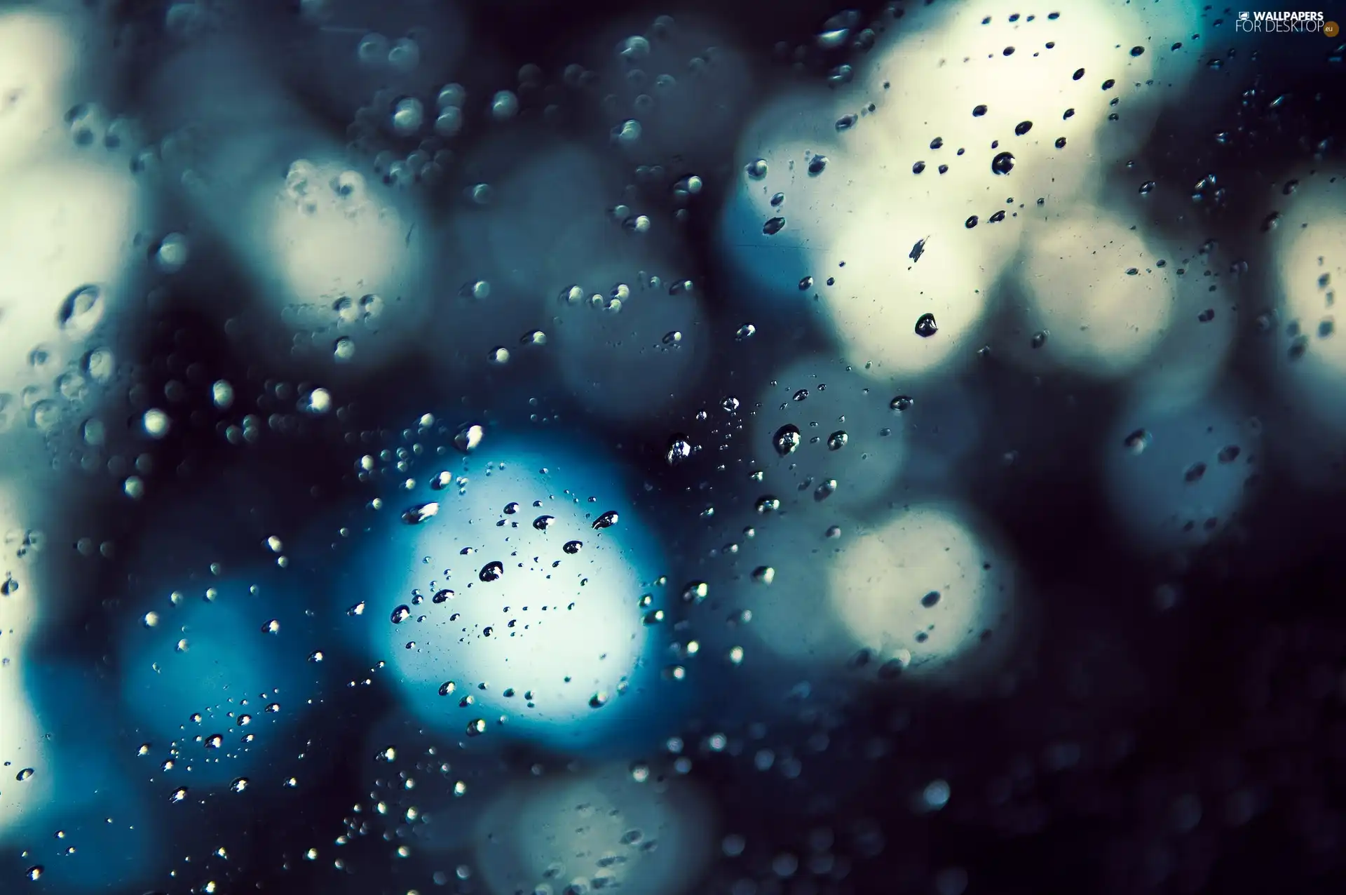 Glass, drops, water