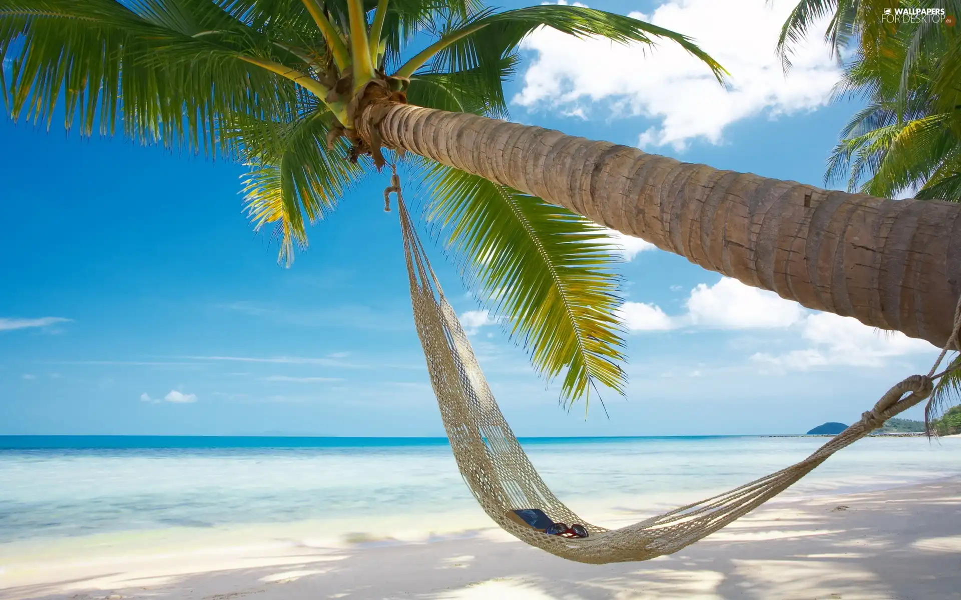 Glasses, Book, Palm, Hammock, Beaches