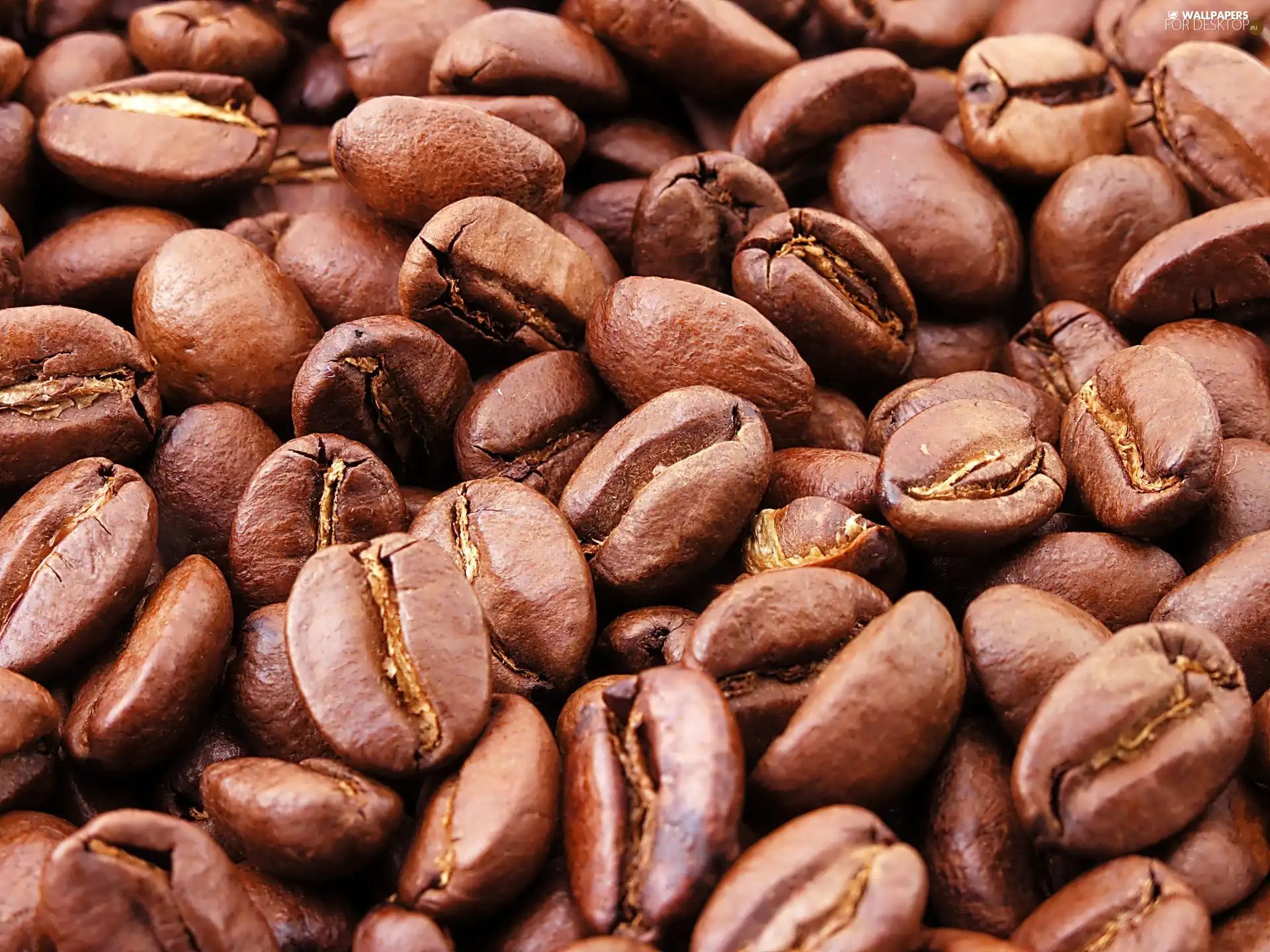 coffee, grains