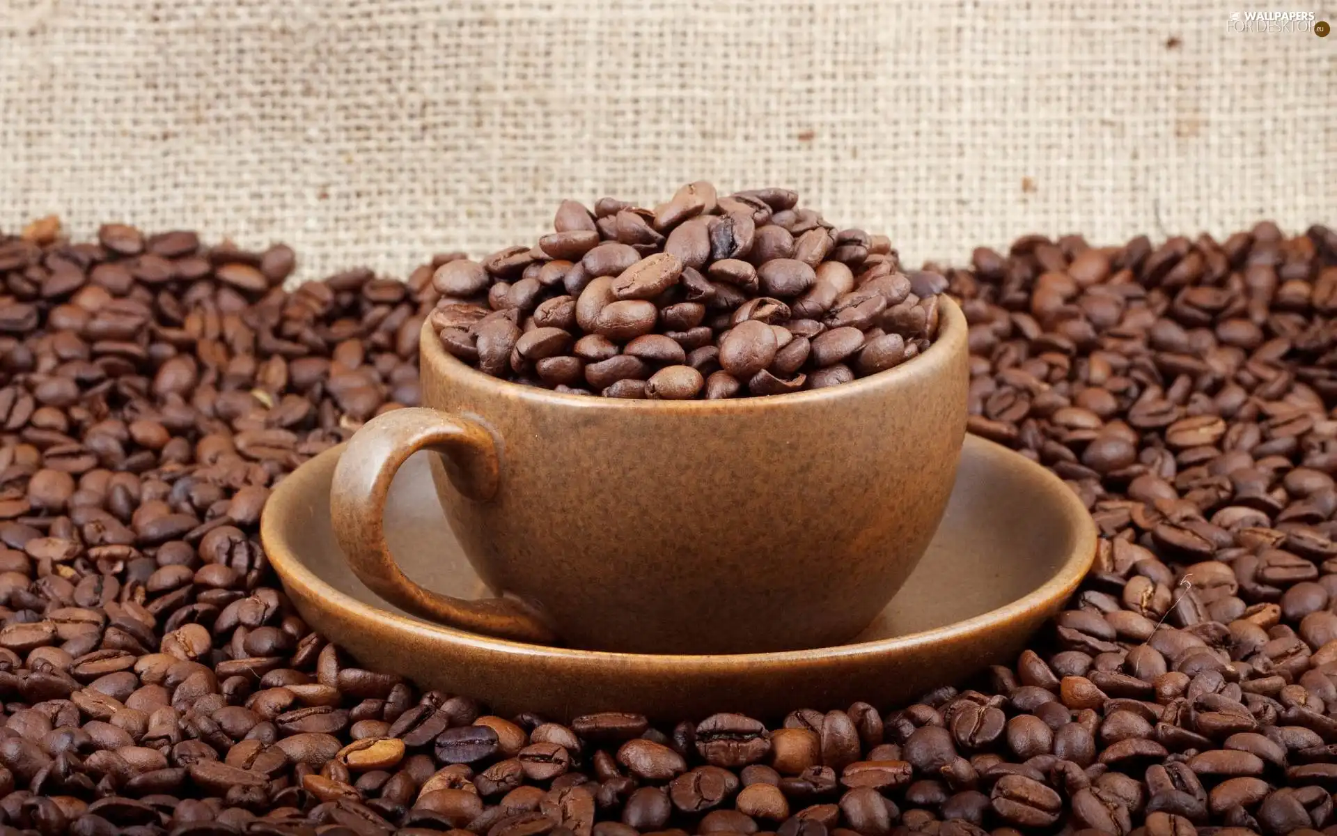 grains, coffee, cup, saucer, Brown