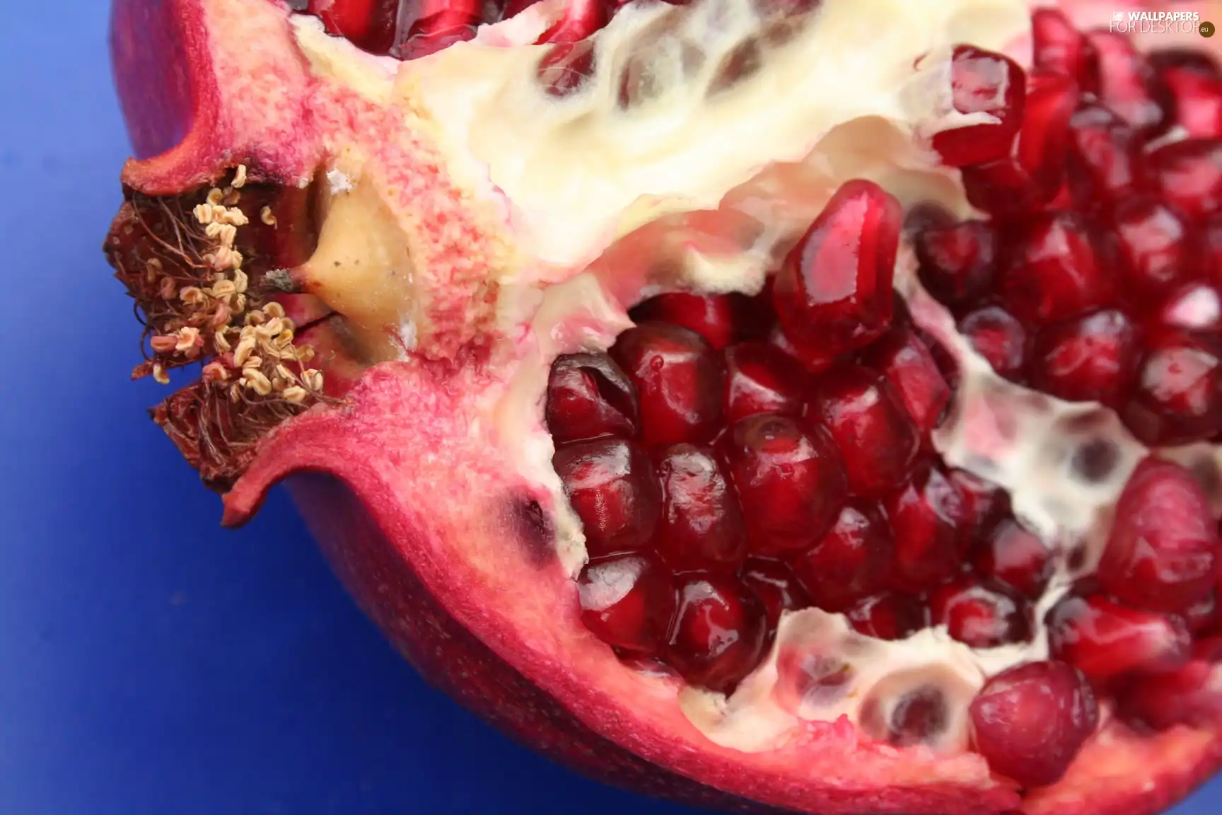 Granatu, section, juicy