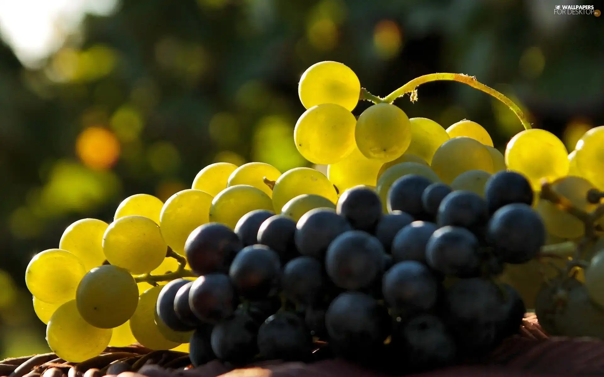 Grapes, White, Black