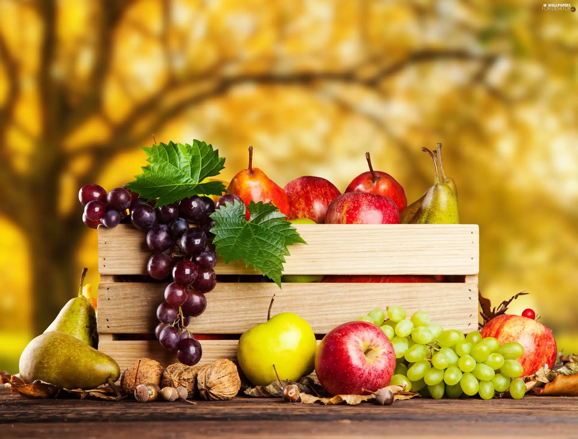 box, truck concrete mixer, Grapes, apples