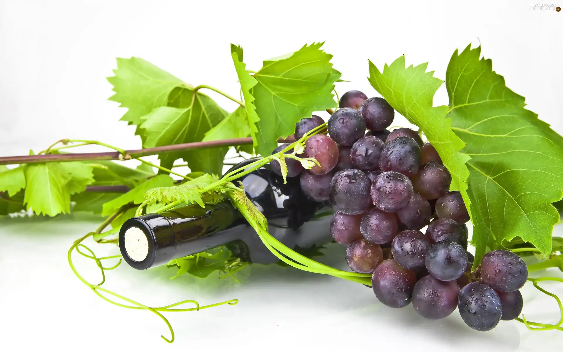 Grapes, Bottle, Wines