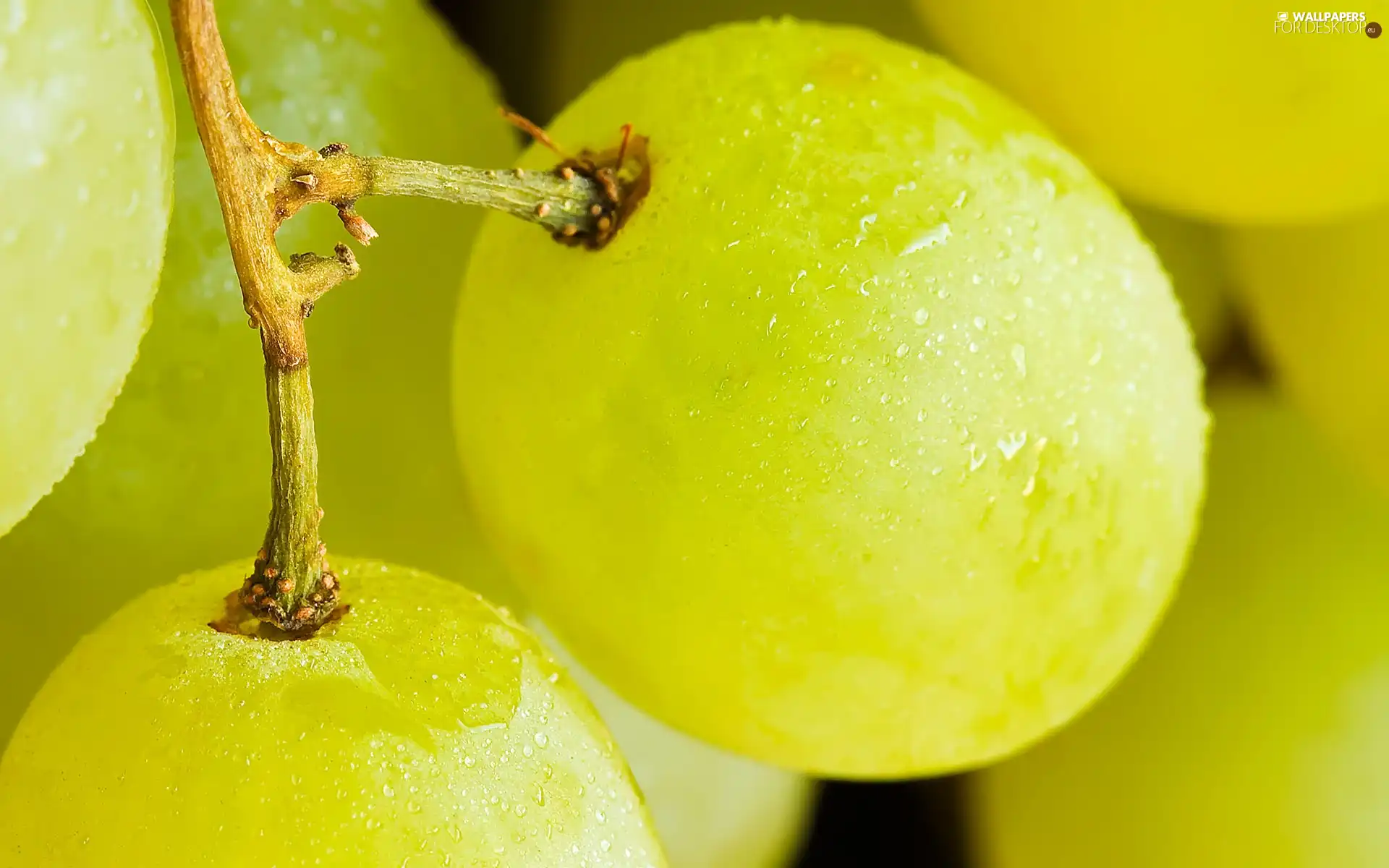 Yellow, Grapes