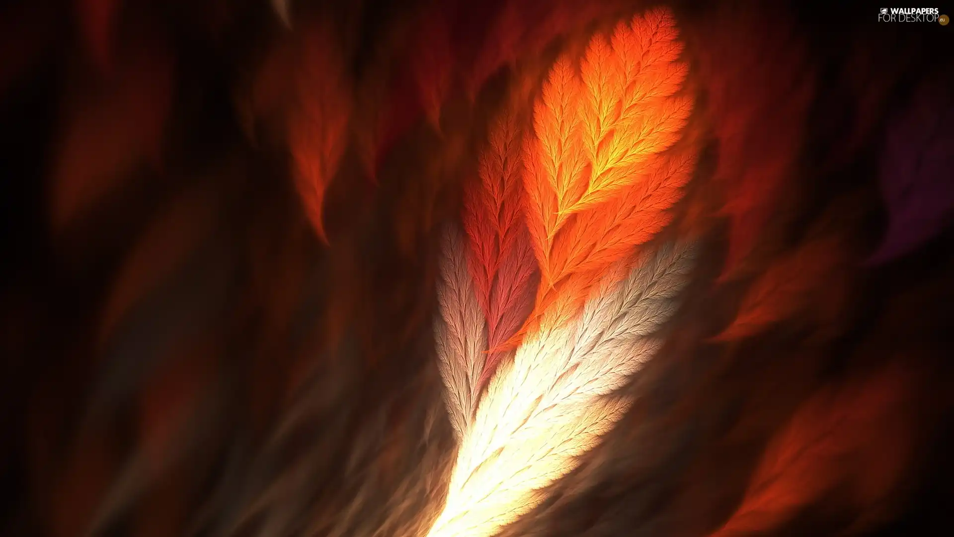 leaf, 3D Graphics