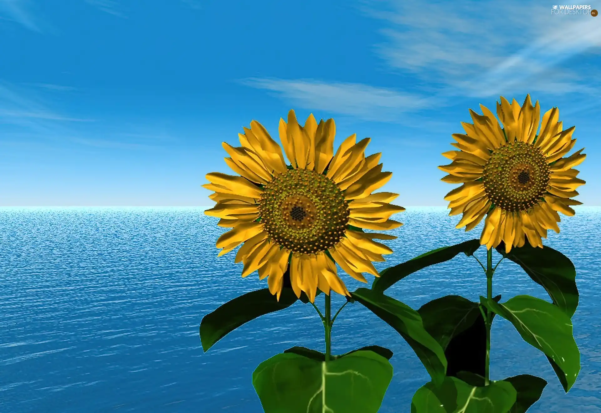 graphics, Computer, sea, Nice sunflowers, Sky