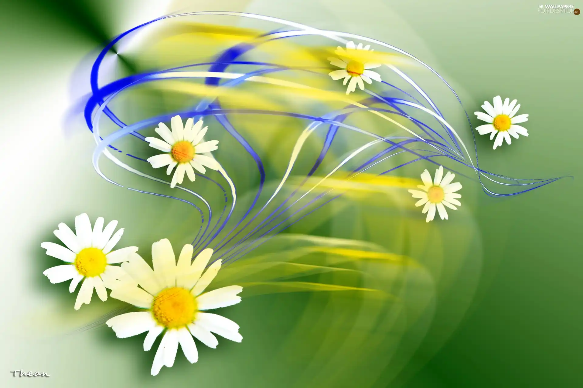 daisy, streaks, graphics, color