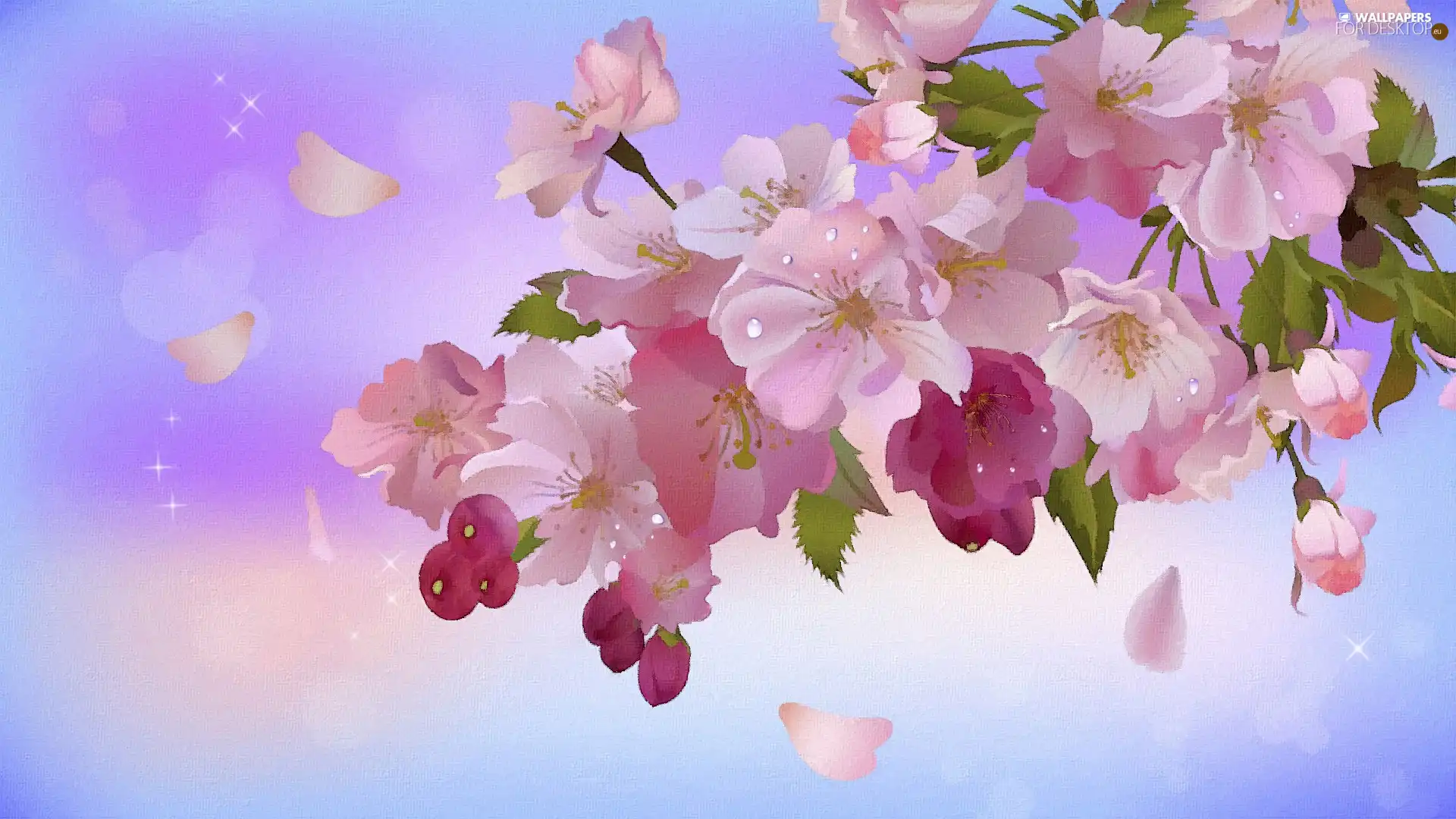 graphics, Pink, Flowers