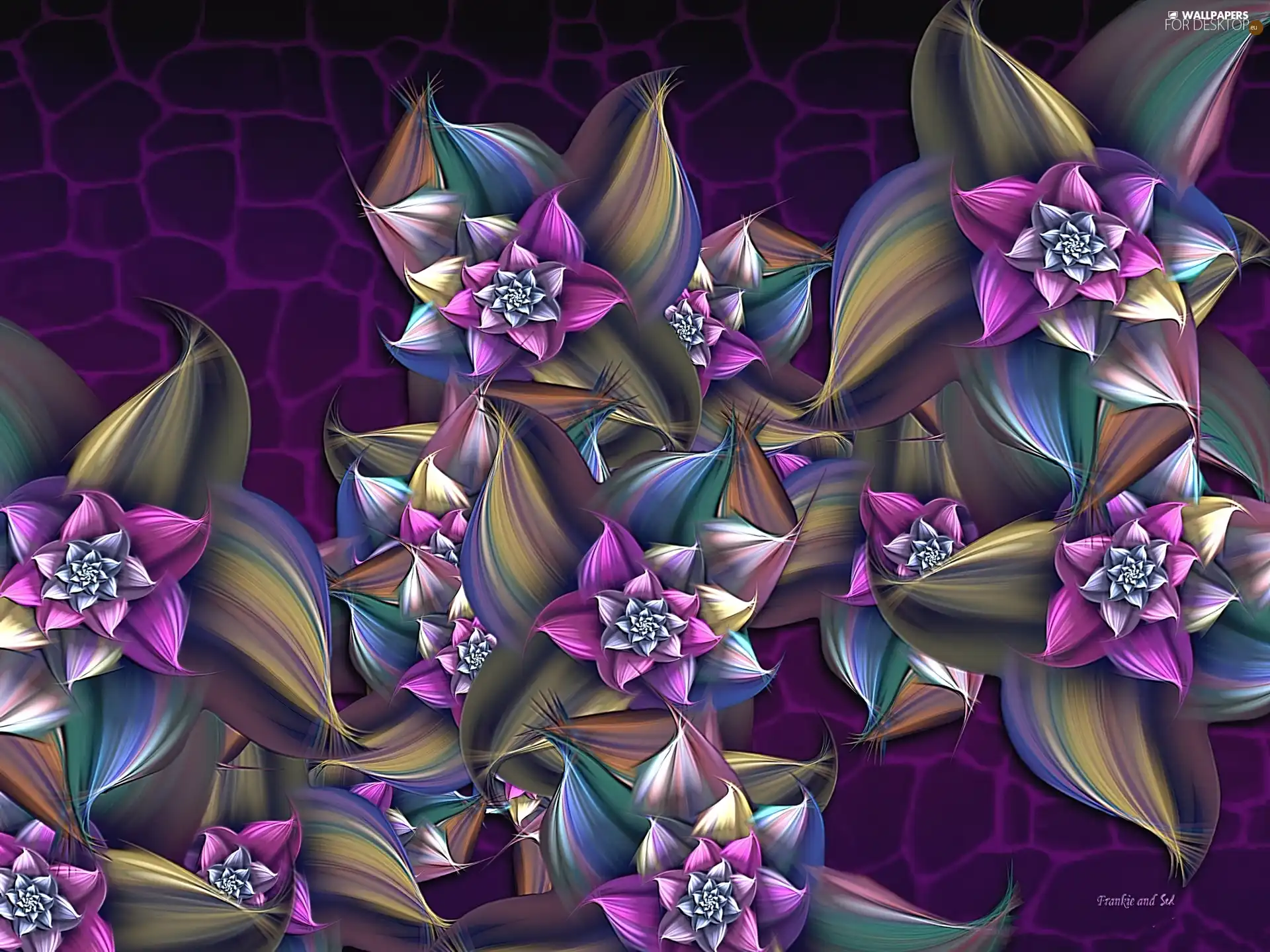 purple, Fraktal, graphics, Flowers
