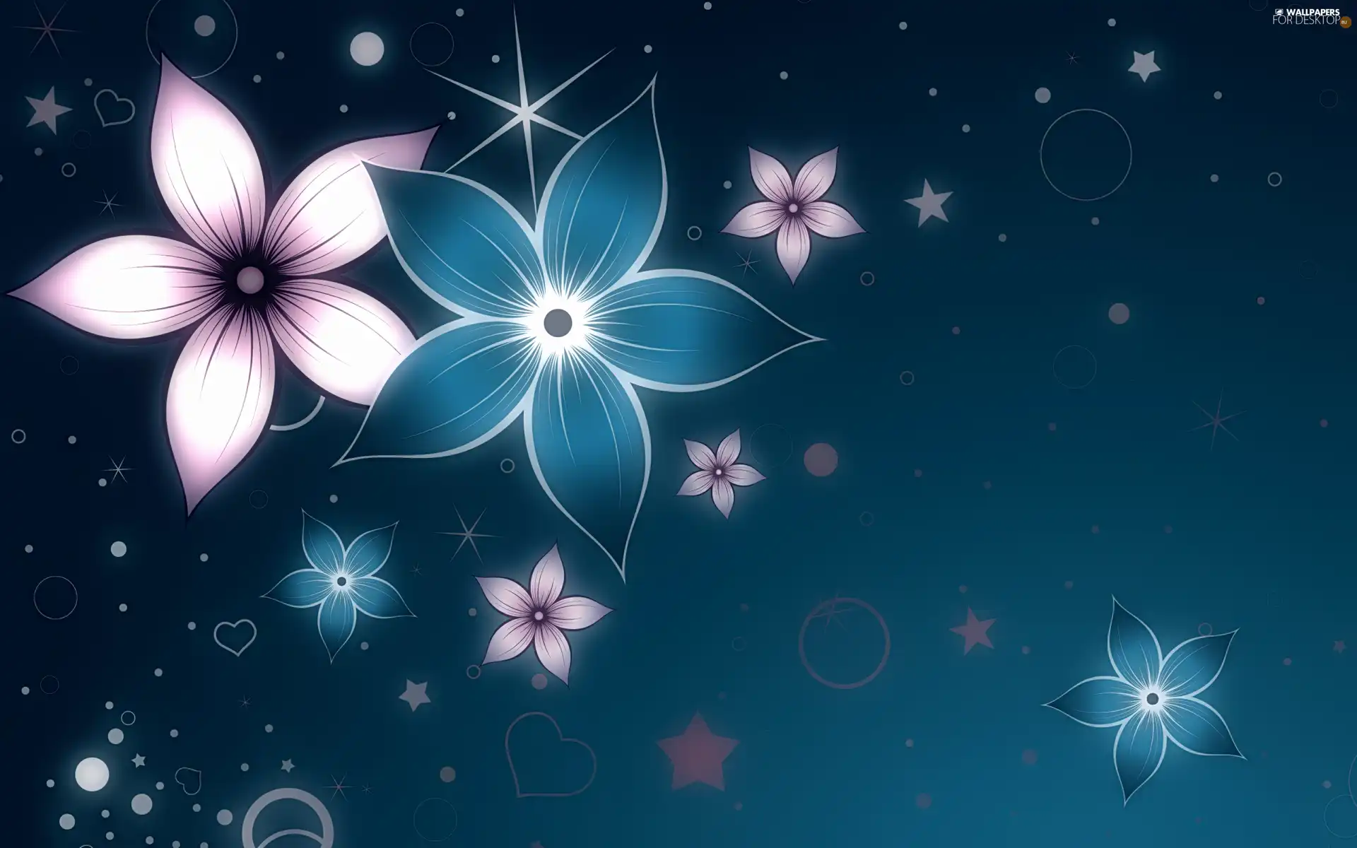 graphics, Flowers, Stars