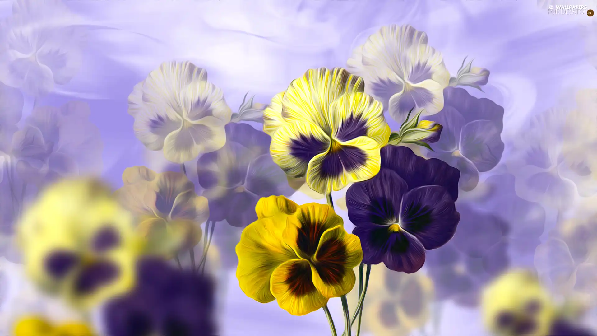 pansies, graphics, Violet, Yellow, Flowers