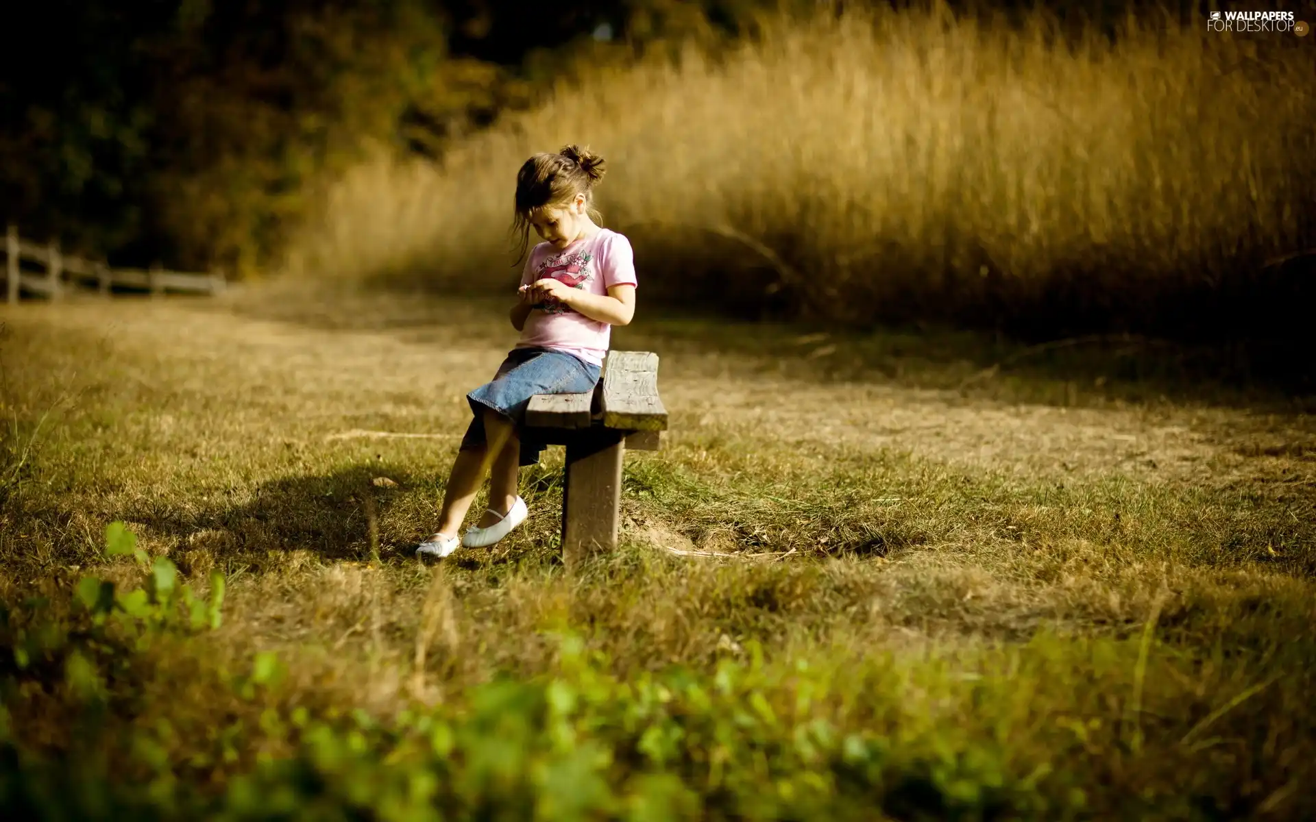 grass, girl, Bench