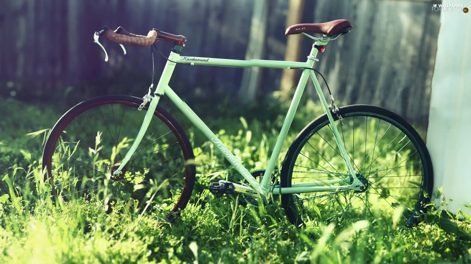 Bike, grass