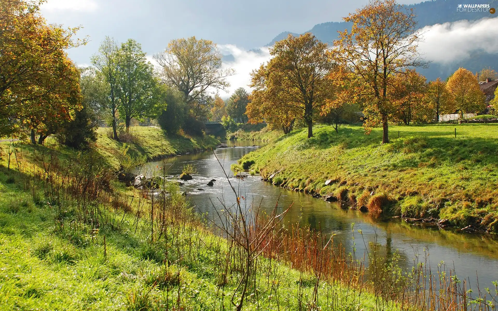 grass, bridges, trees, viewes, River