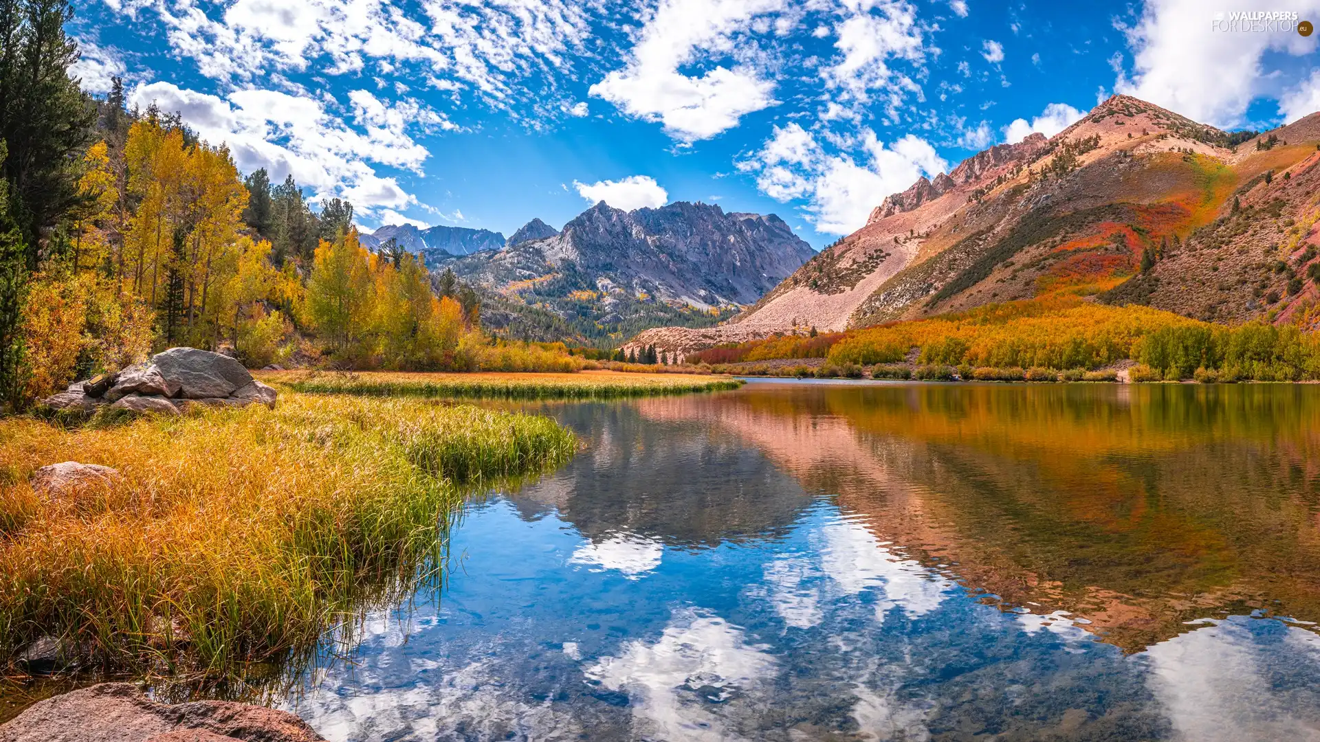 trees, lake, clouds, grass, Mountains, viewes, reflection - For desktop ...