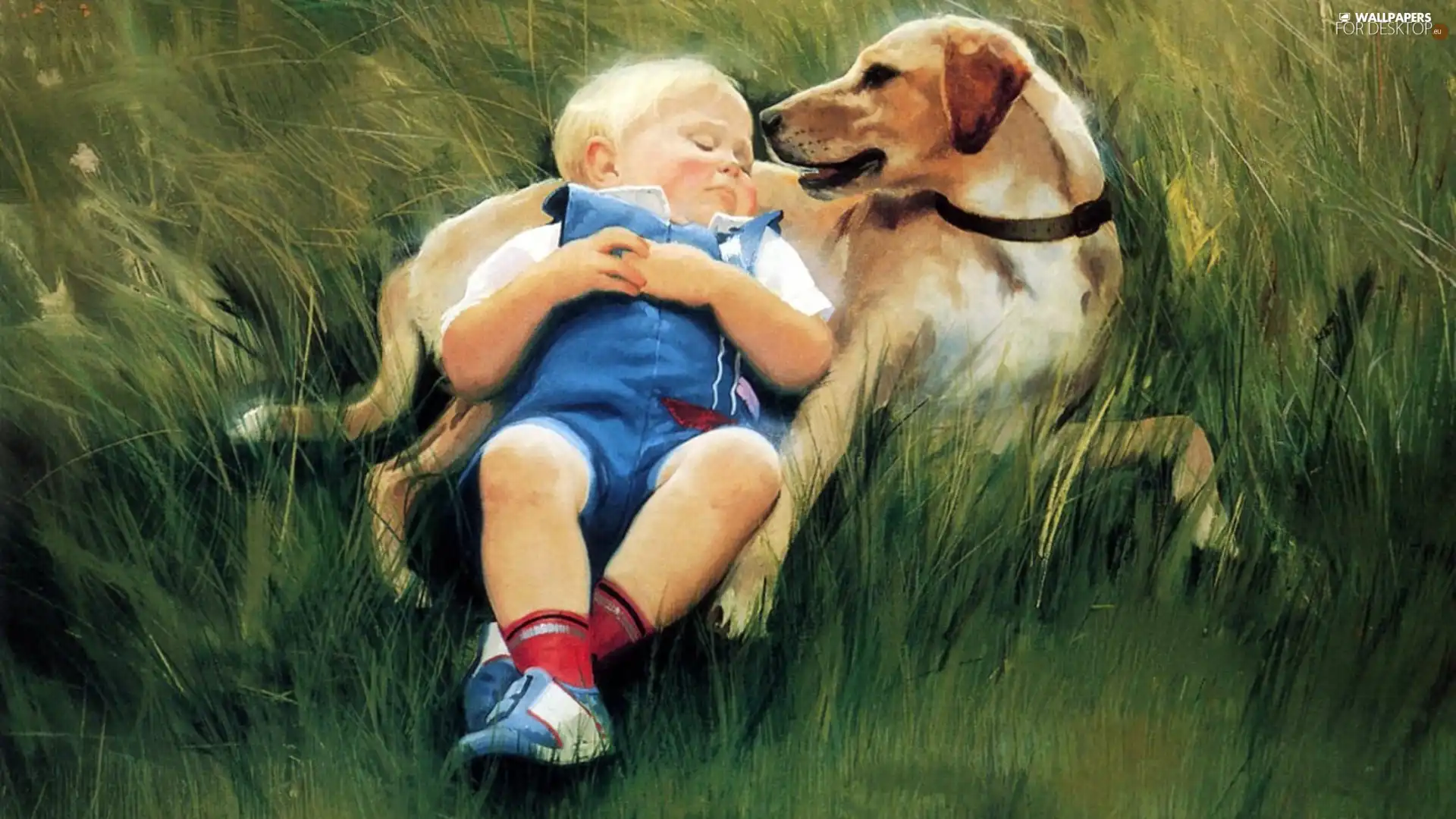 grass, Kid, dog