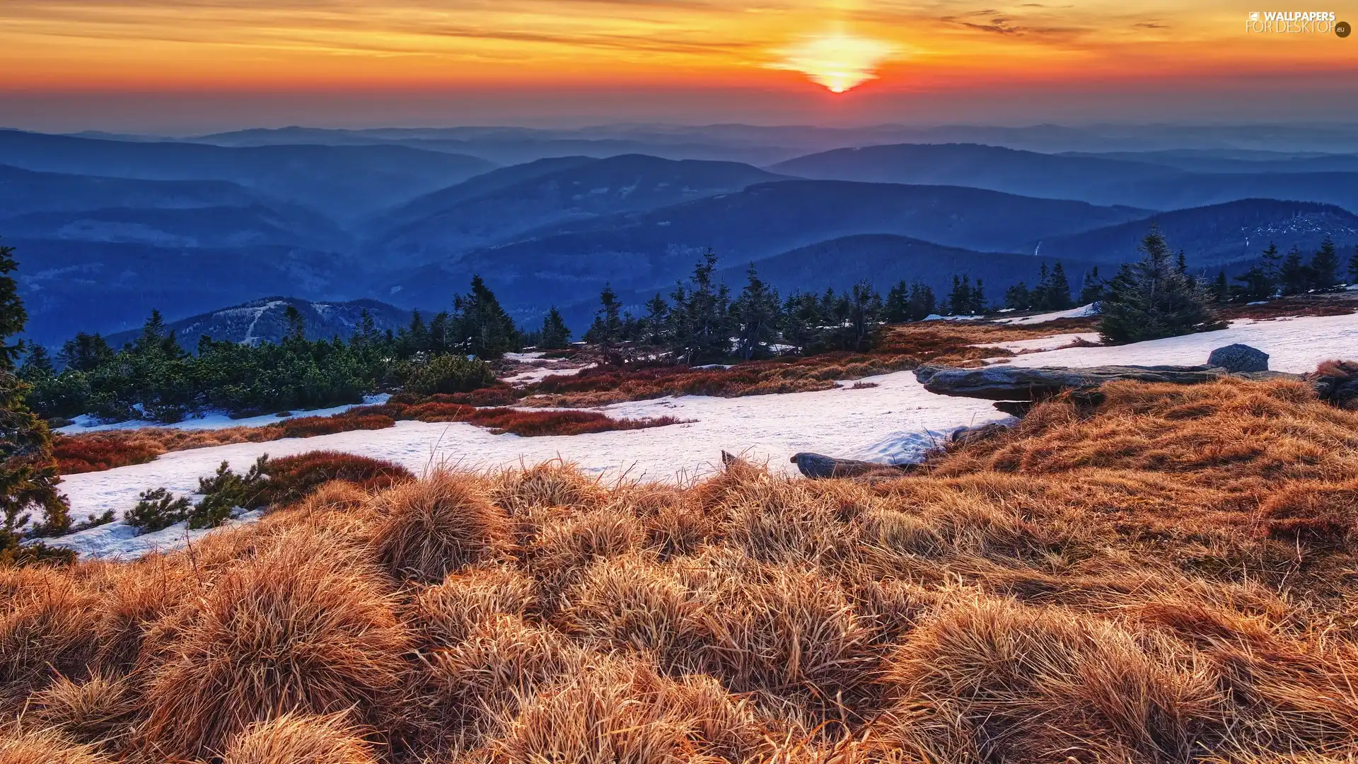 trees, Mountains, dry, snow, Great Sunsets, viewes, grass