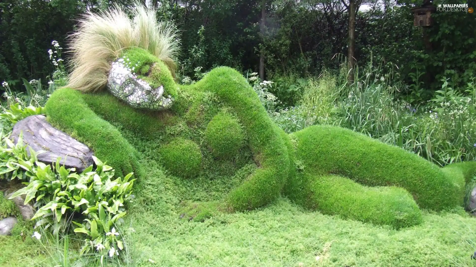 grass, Women, flowerbed