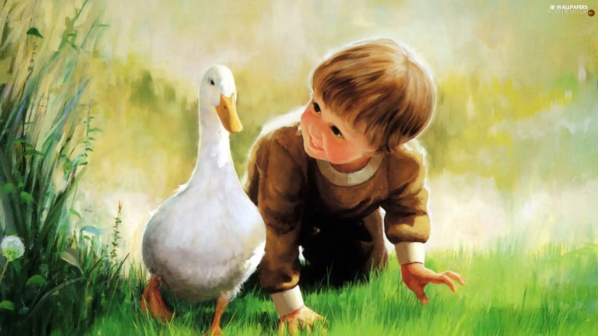 grass, boy, goose