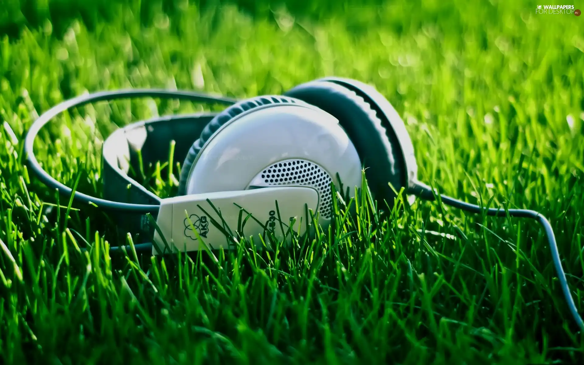 HEADPHONES, grass
