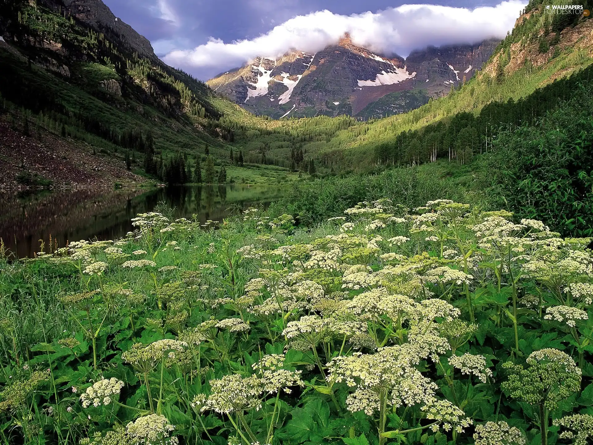 grass, lake, Valley, flourishing, Mountains