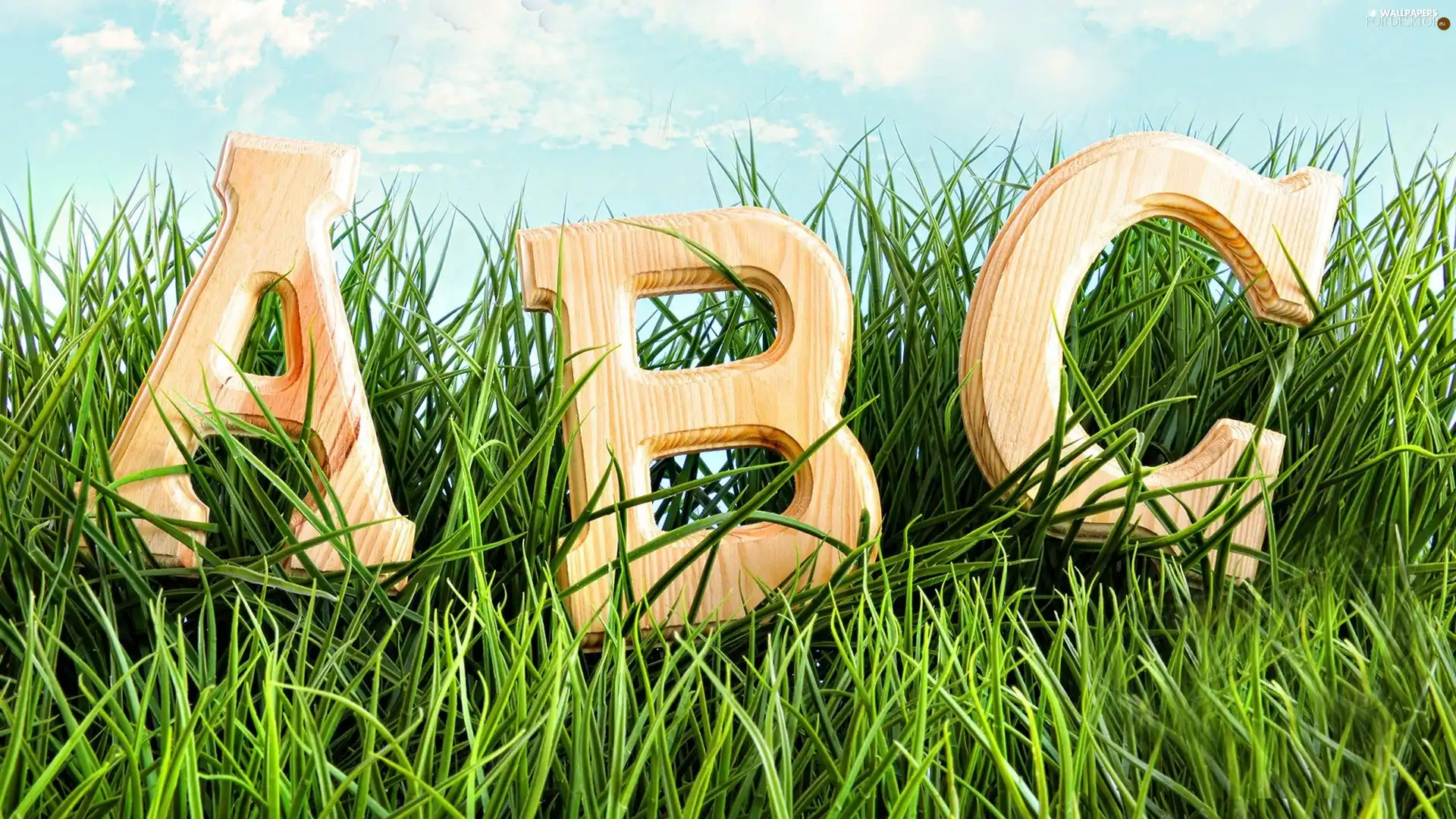 letters, grass